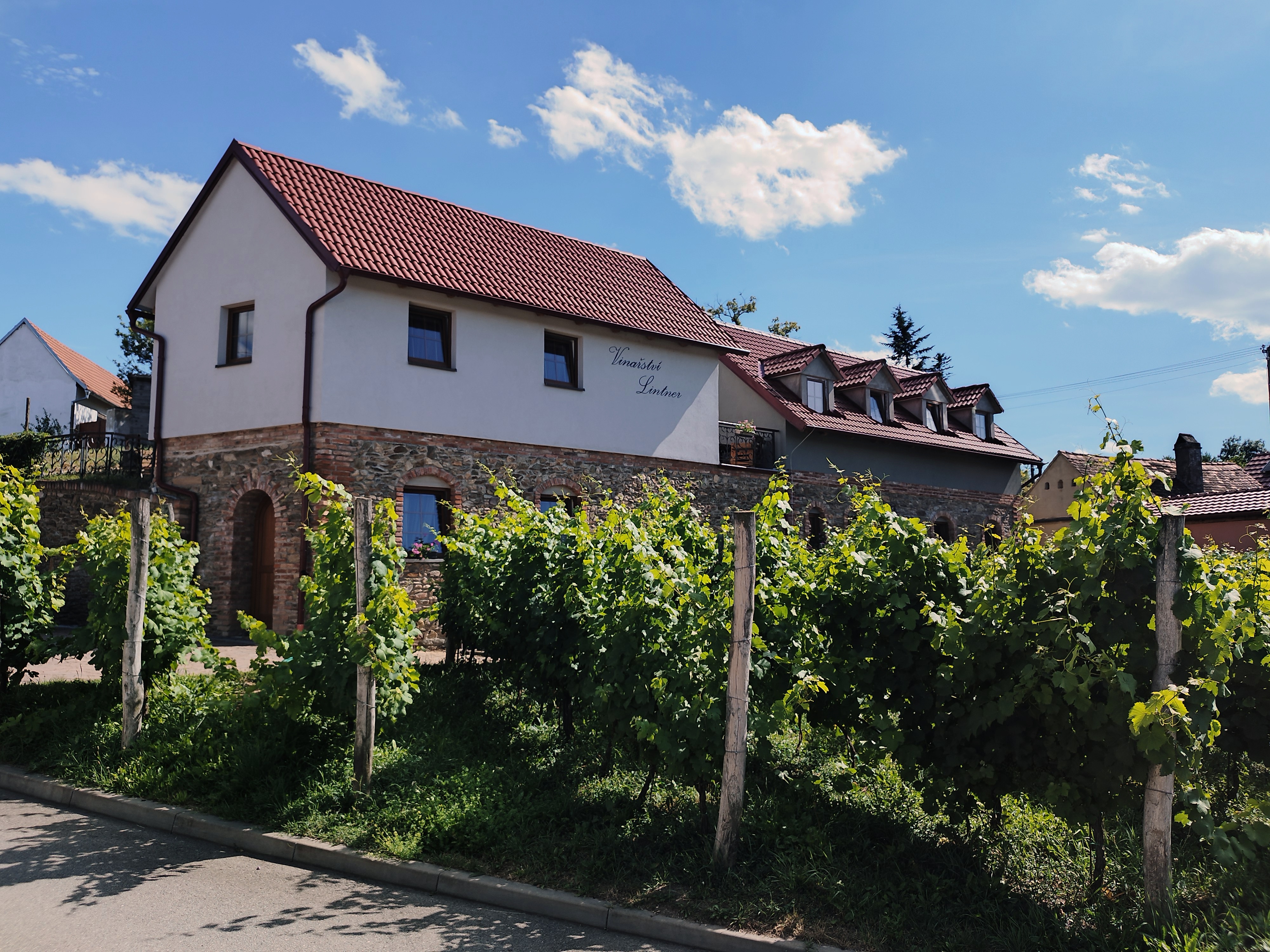 Vinařství a penzion Lintner foto 5