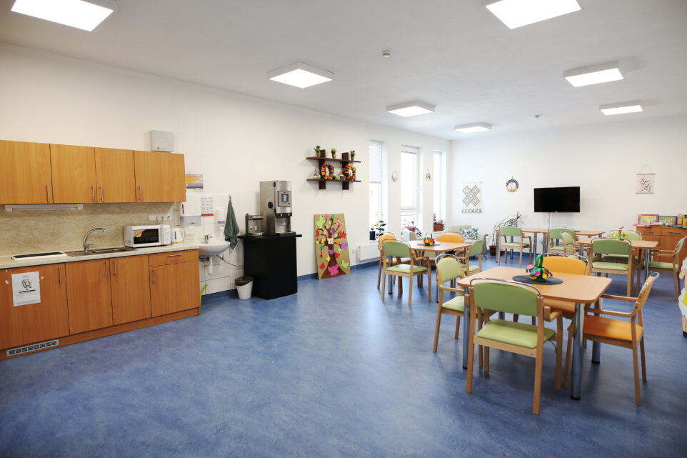 Senevida Kamenice nad Lipou foto 5