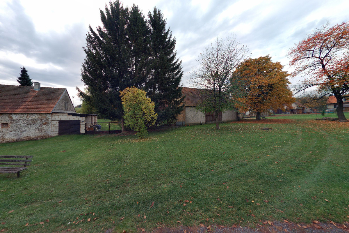 Jan Kučera - Ve větvích foto 2