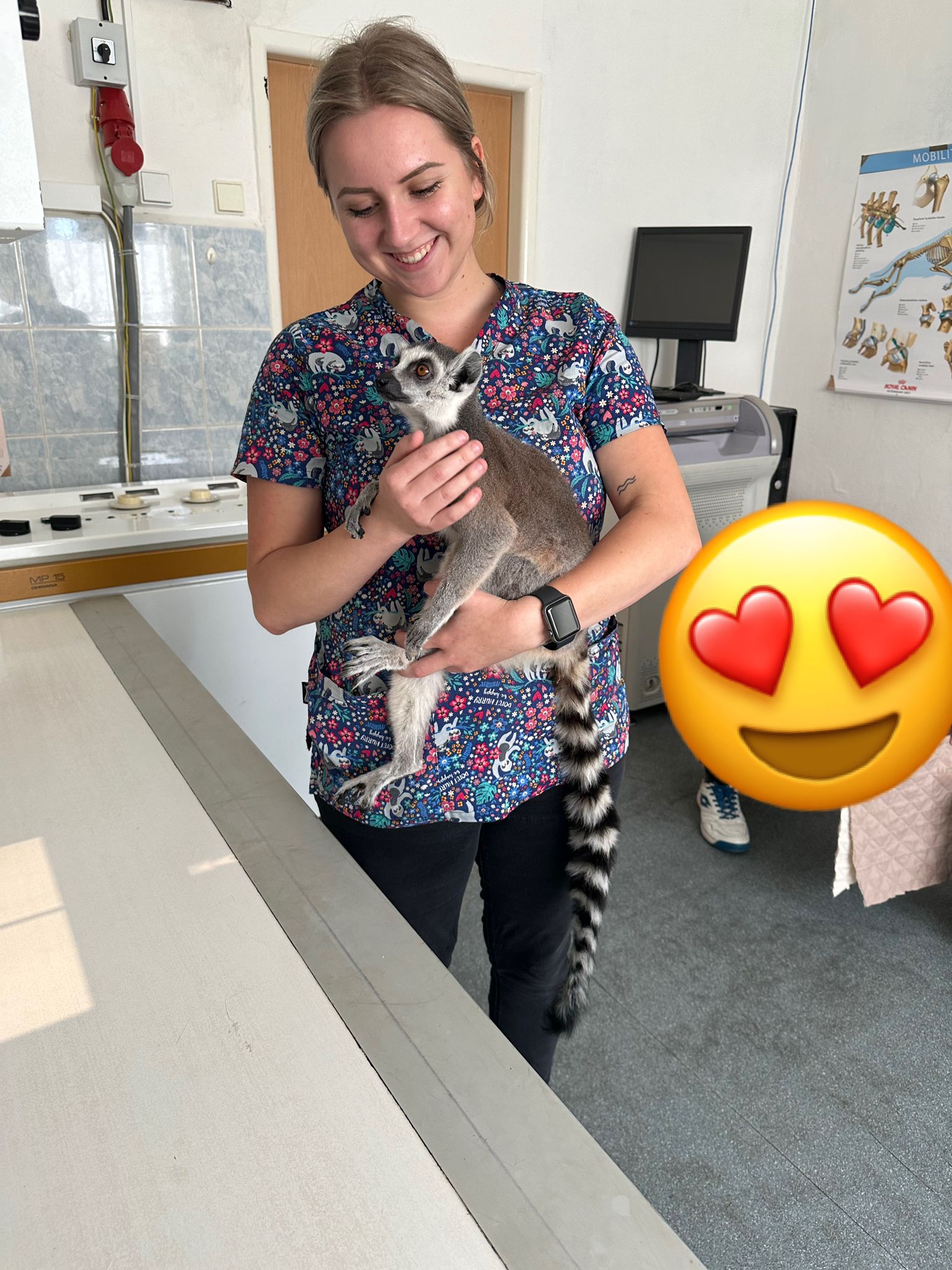 VitalVet s.r.o. - veterinární klinika foto 4