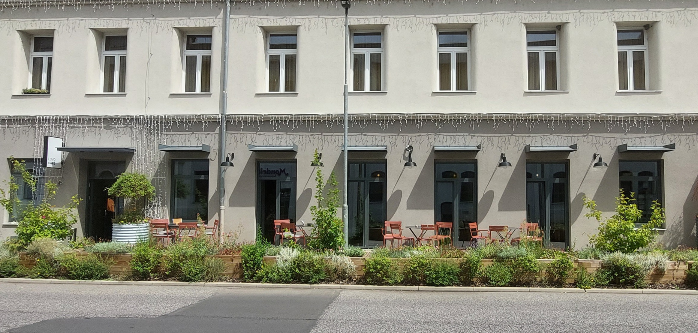 LOVO Café