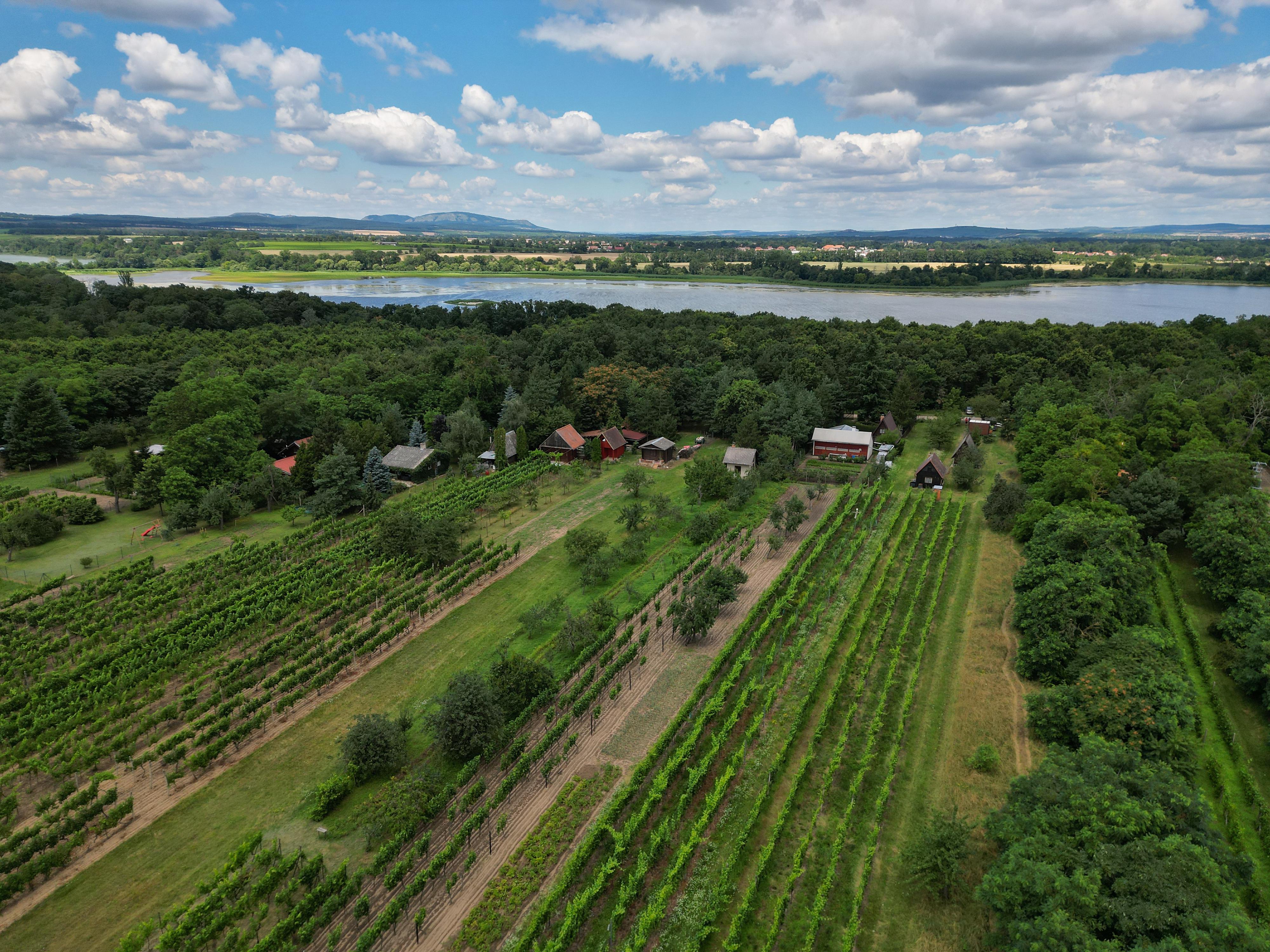 Trailer - Vinařství Kurka foto 3