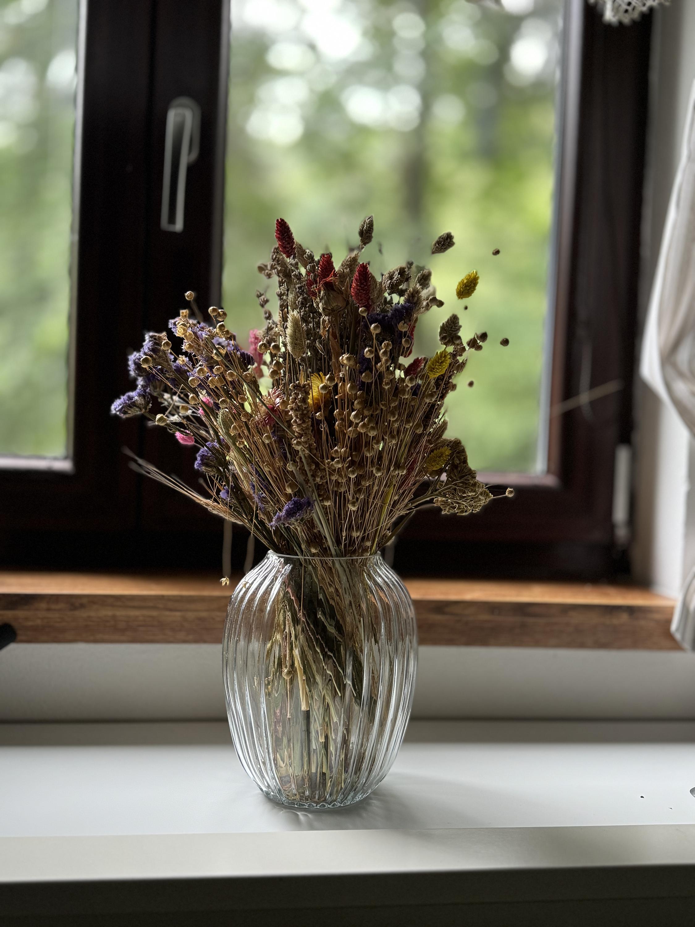 Chalupa u Ledního Medvěda foto 3