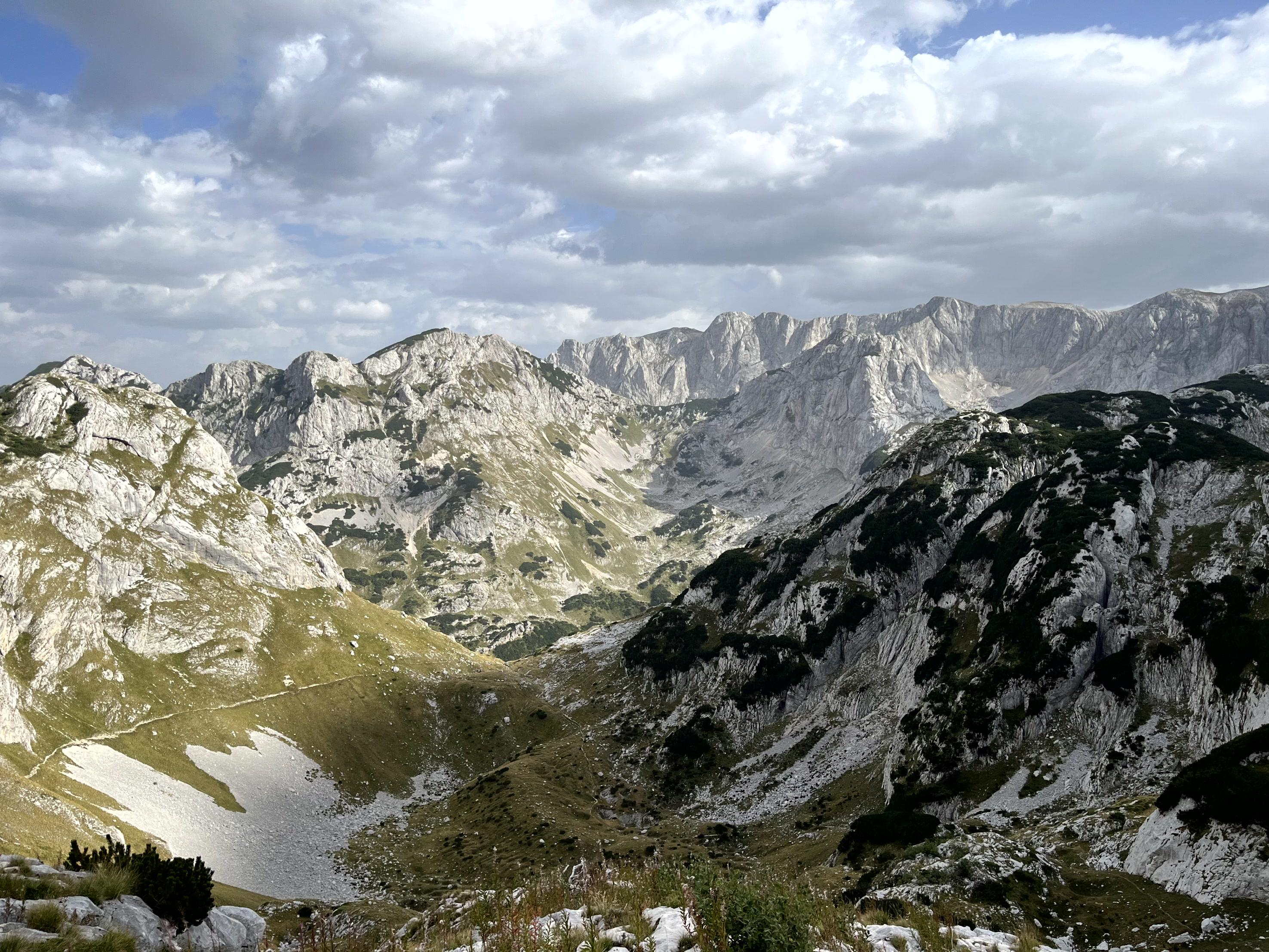 Travelife foto 2