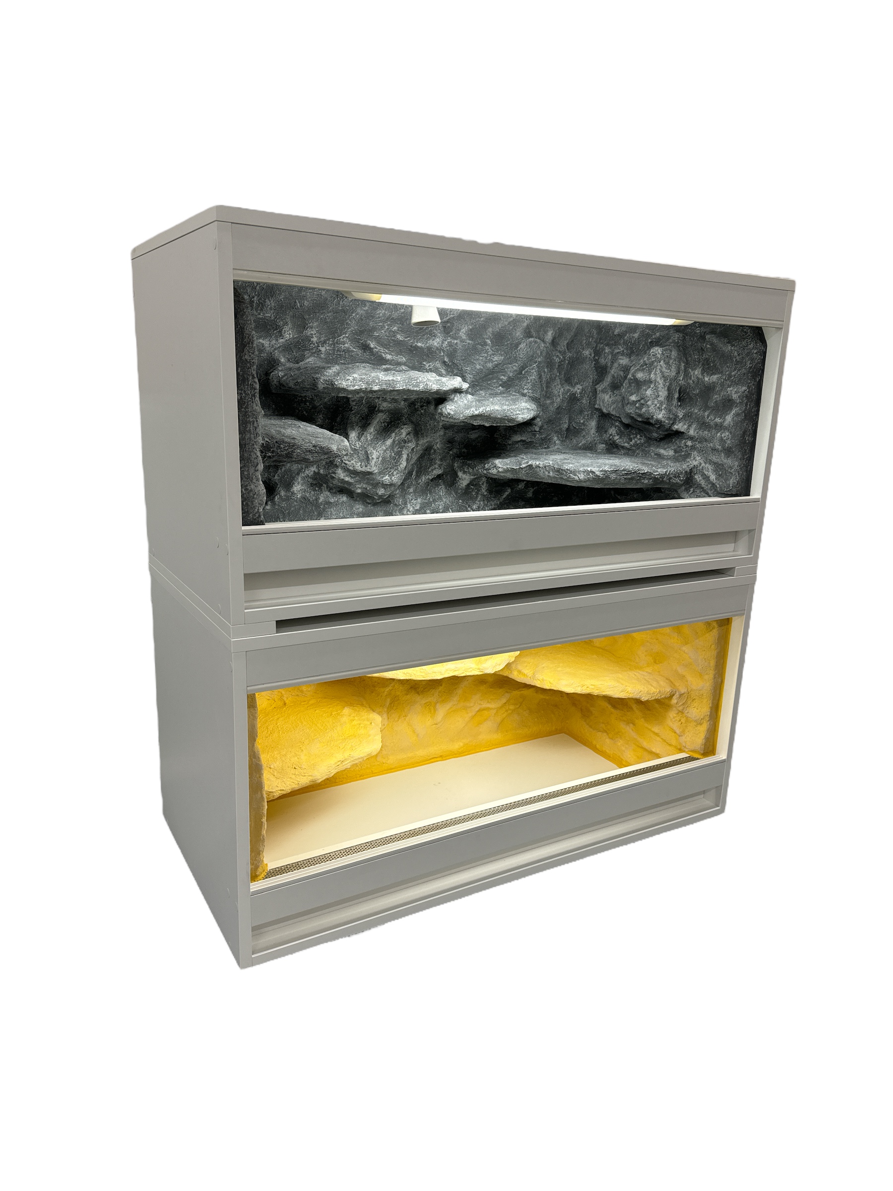 bb-terarium foto 5