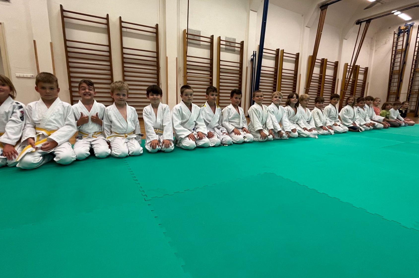 Judo Best Motion