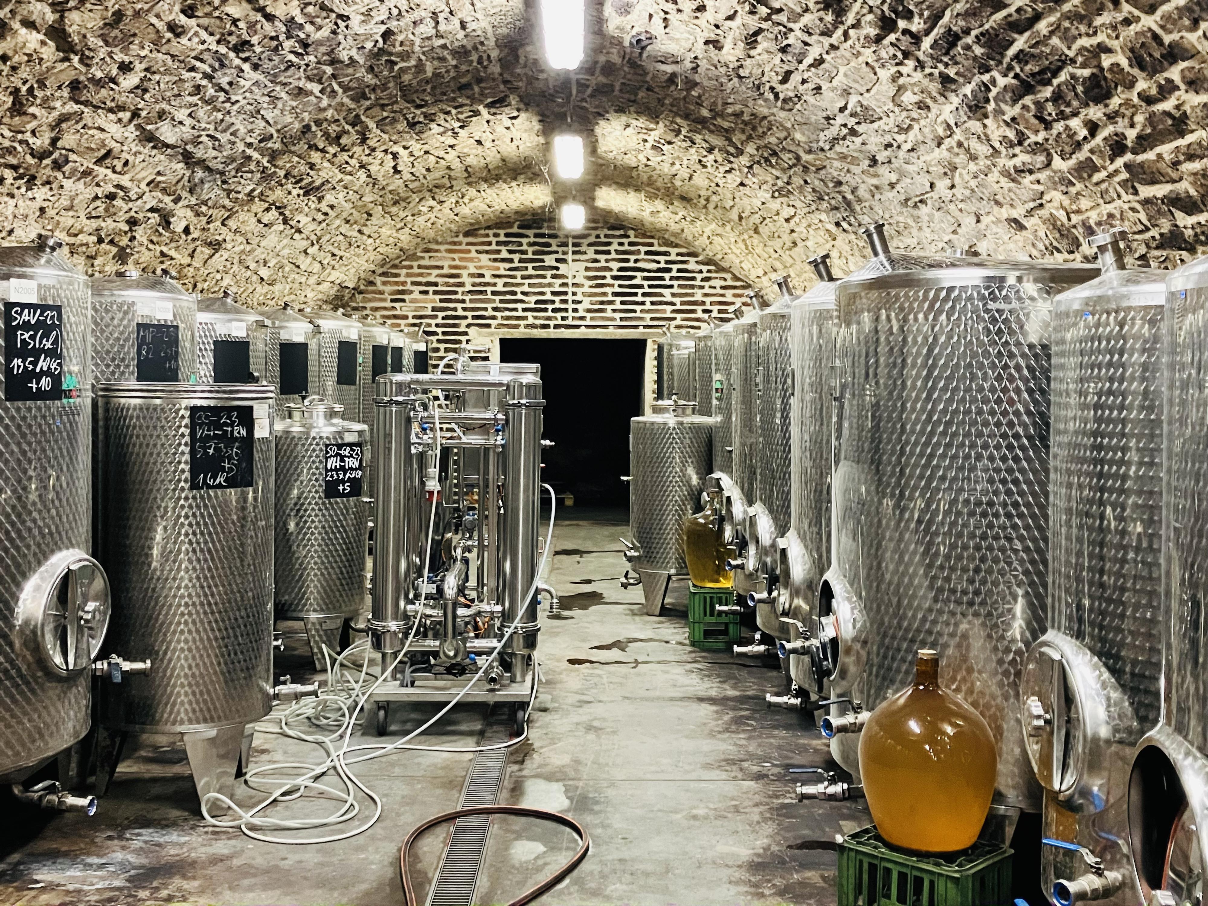 Žernosecké vinařství foto 3