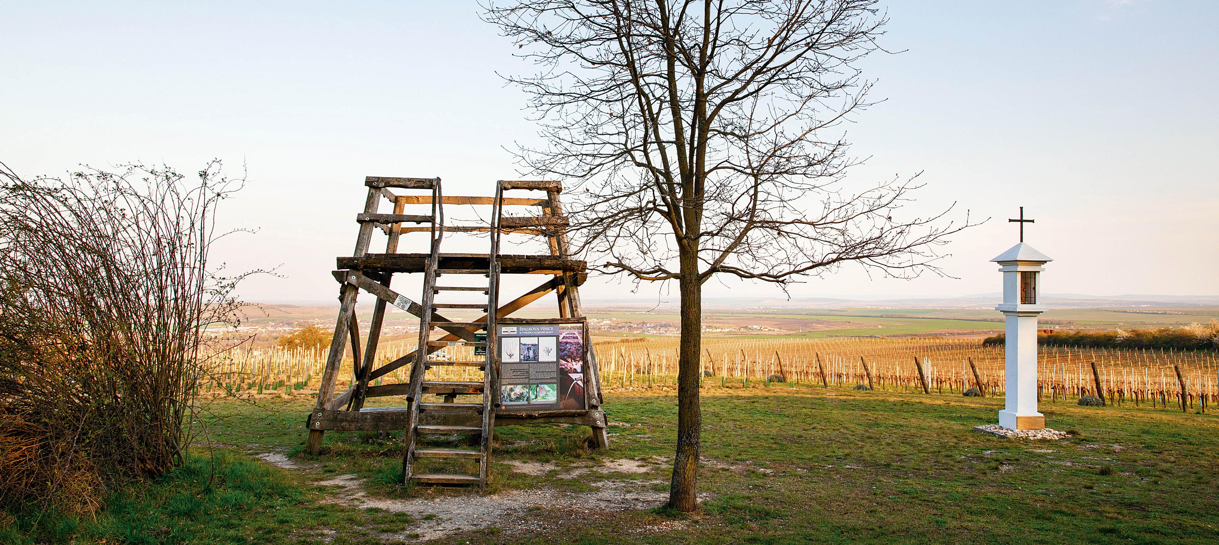 Vinařství Špalek foto 3