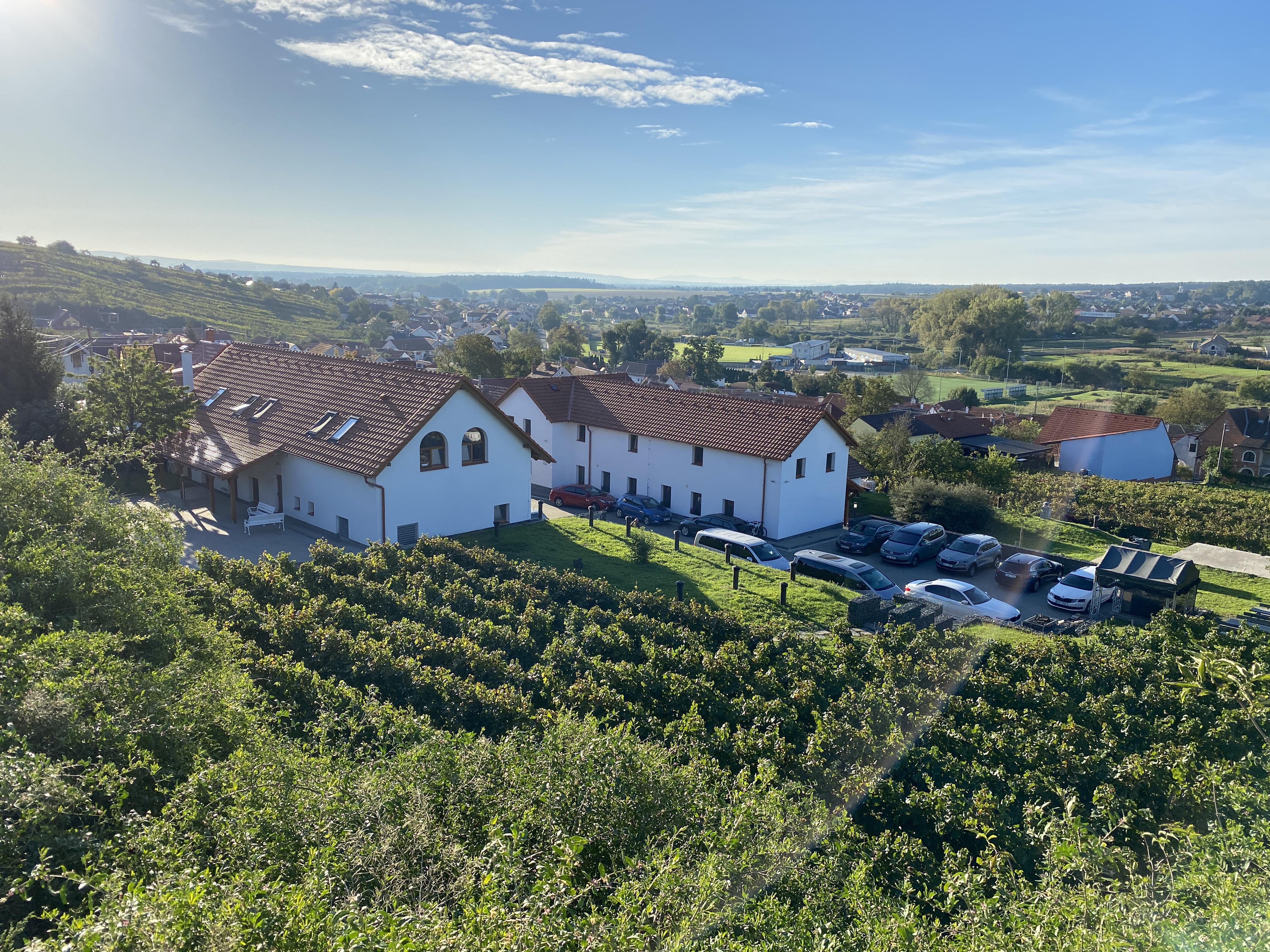 VINAŘSTVÍ ZIKMUND -  DEGUSTAČNÍ SKLEP foto 4