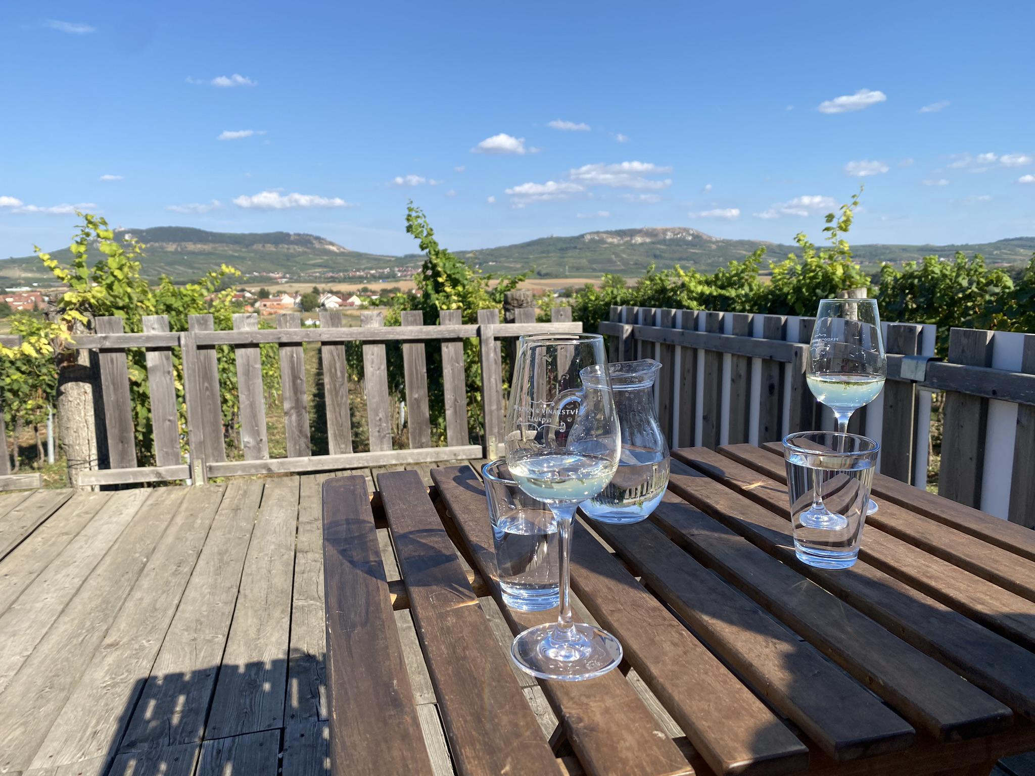 Penzion a vinařství Lelíkovi foto 5