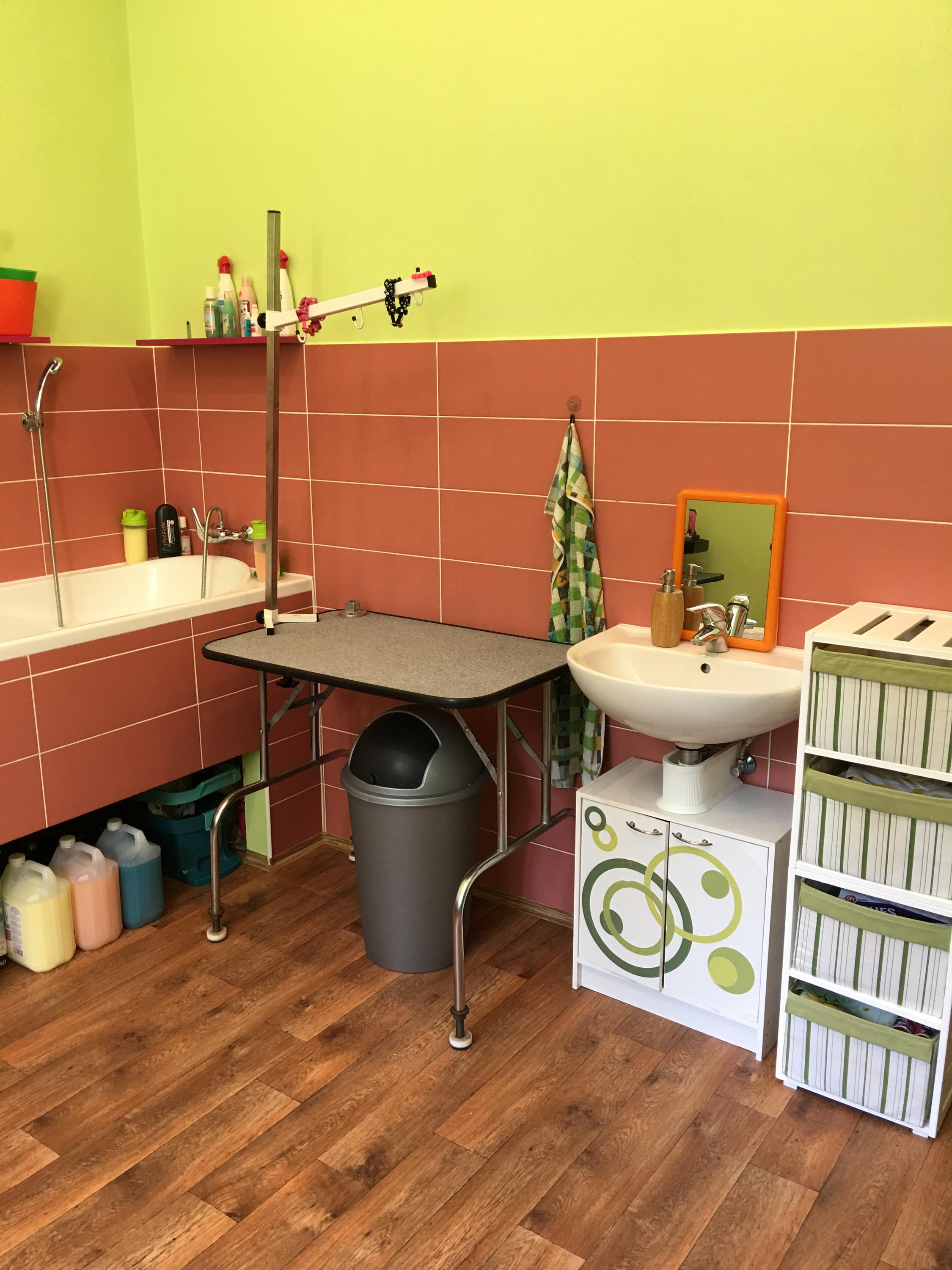Psí salon Mazlíček foto 4