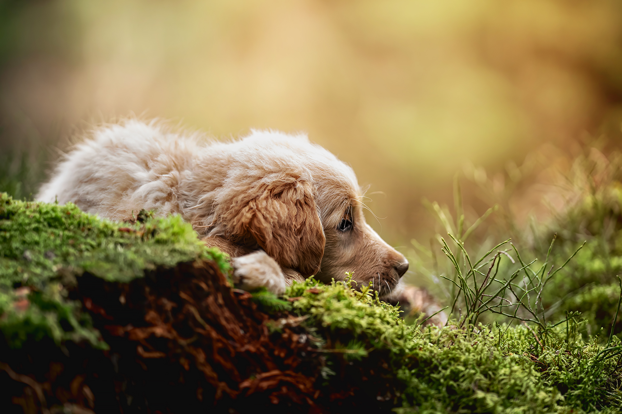 Klara_w_photo foto 2