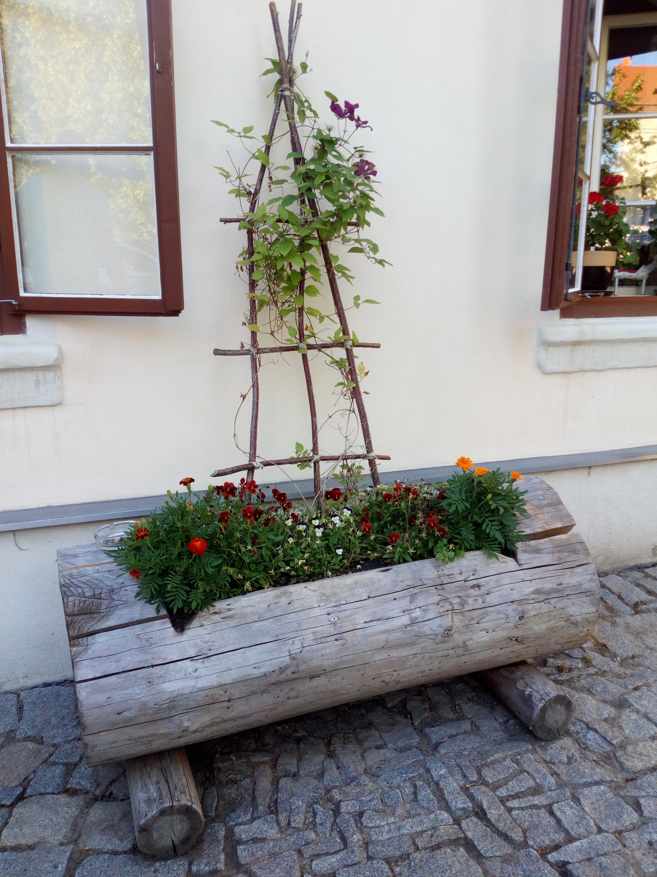 Penzion u Bílého koníka foto 4