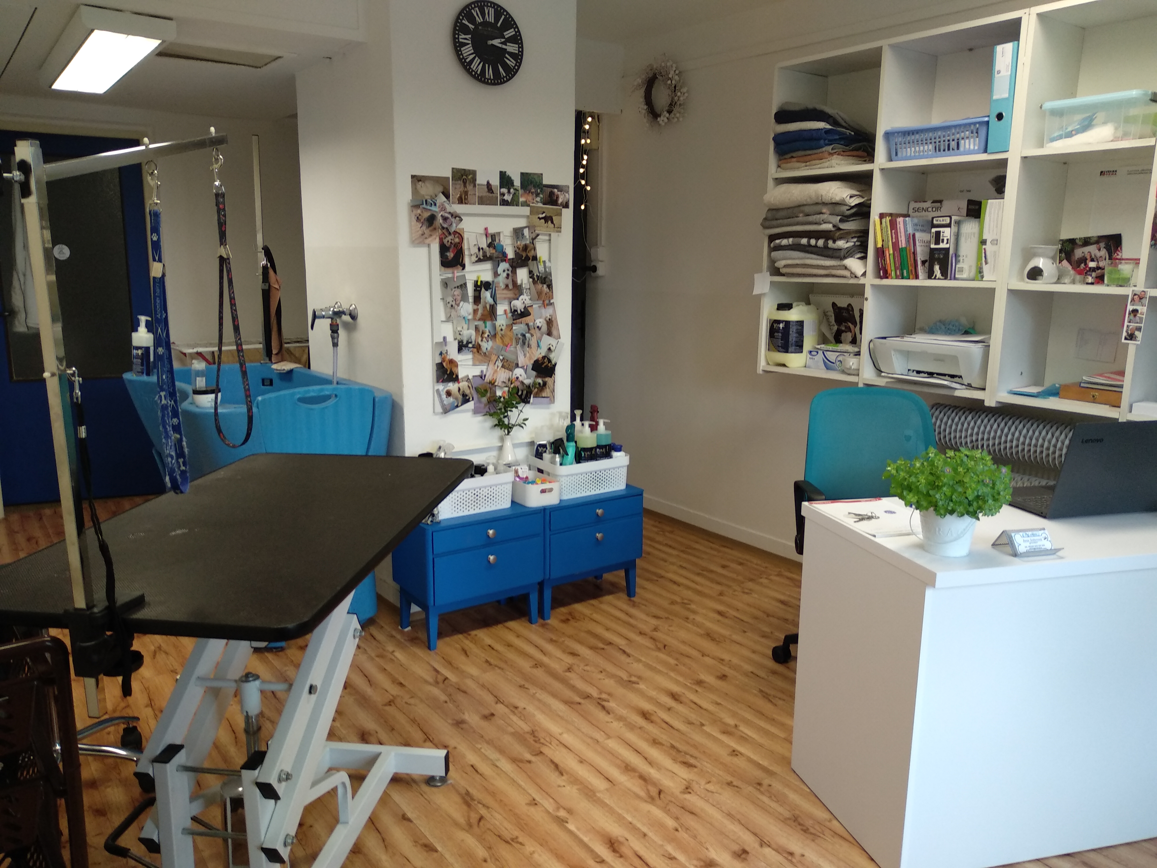 Psí salon J.S. groomer