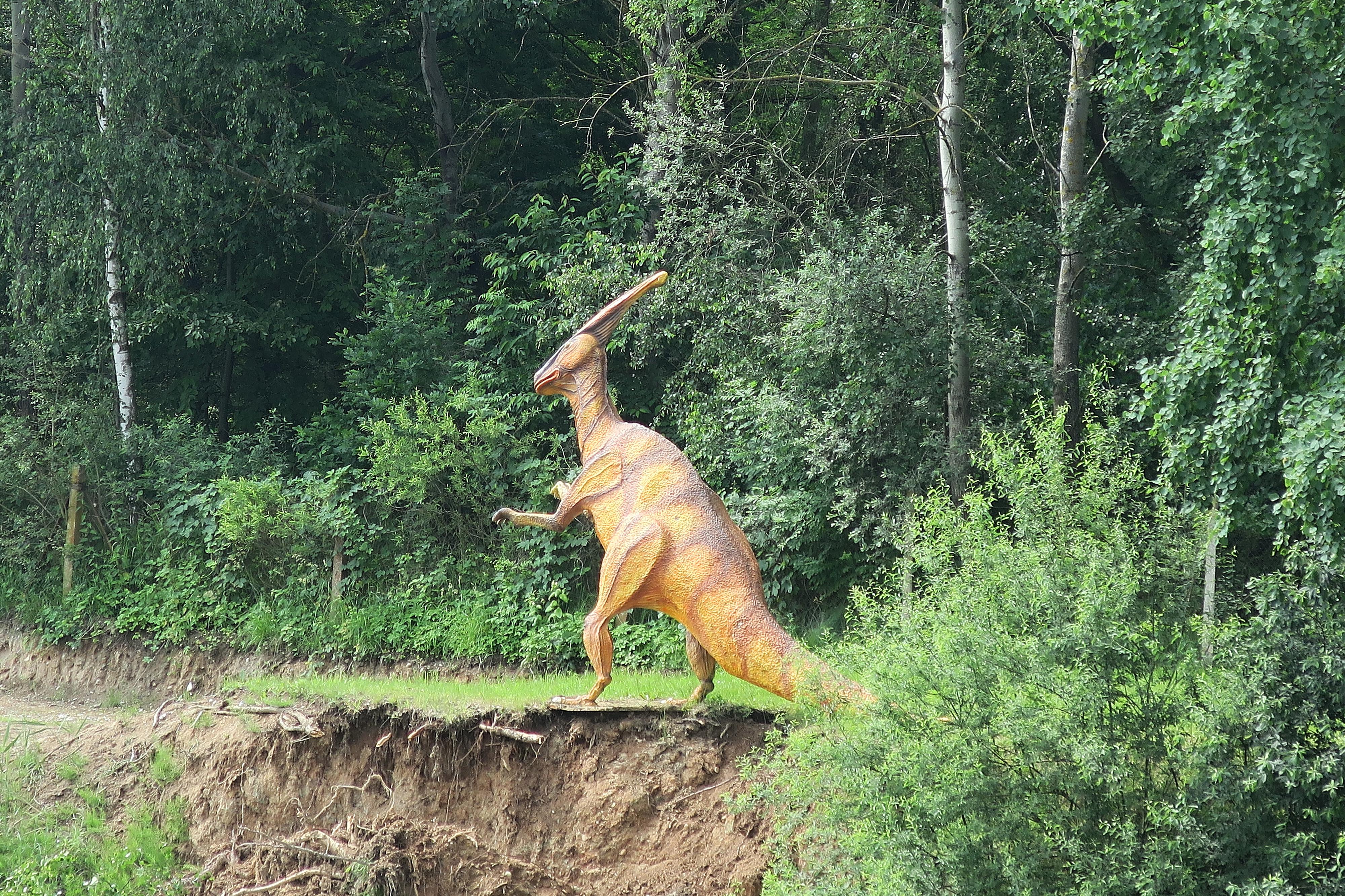Marine Závlahy Restaurace foto 3