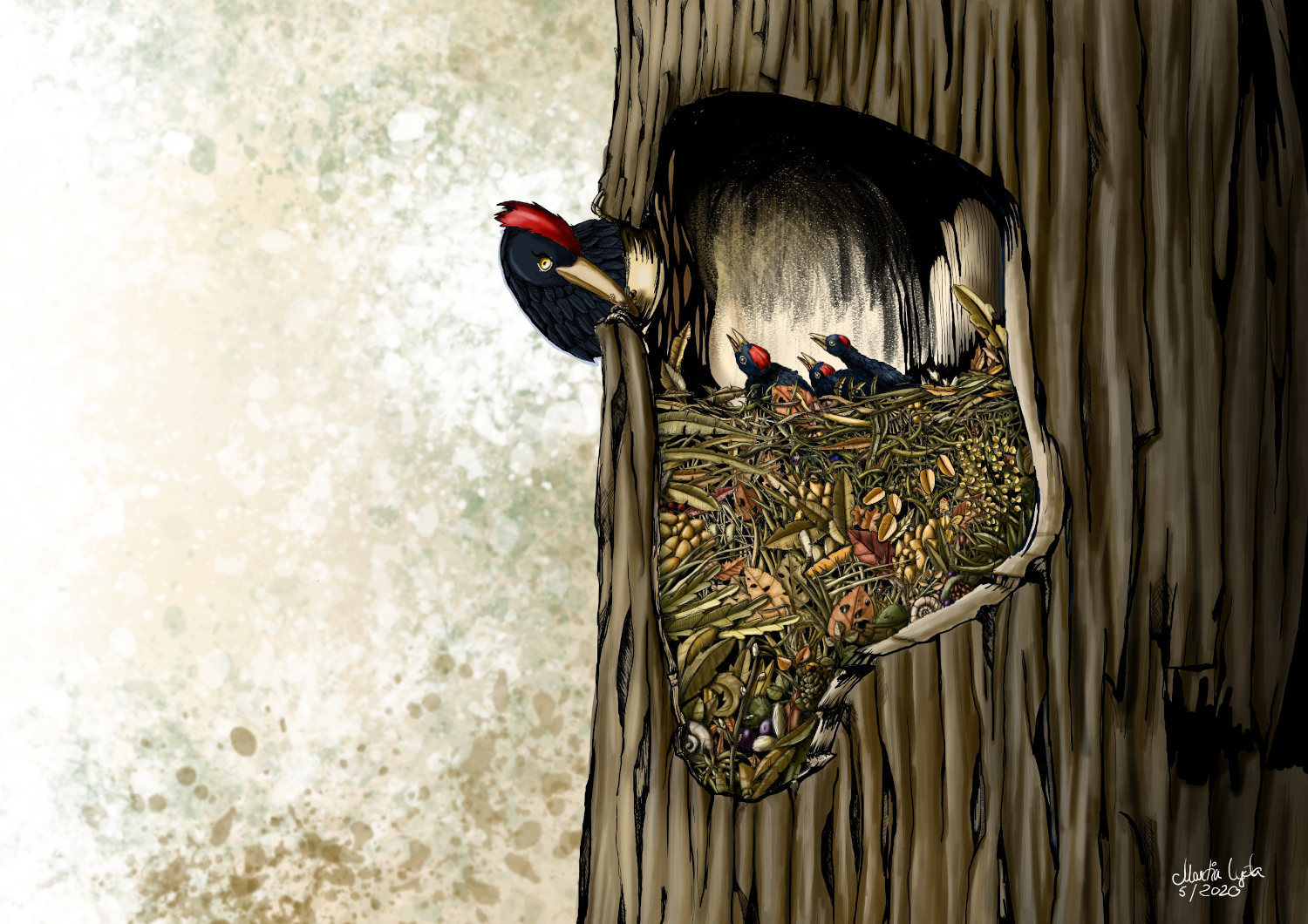 Martin Lyčka - ilustrátor foto 6