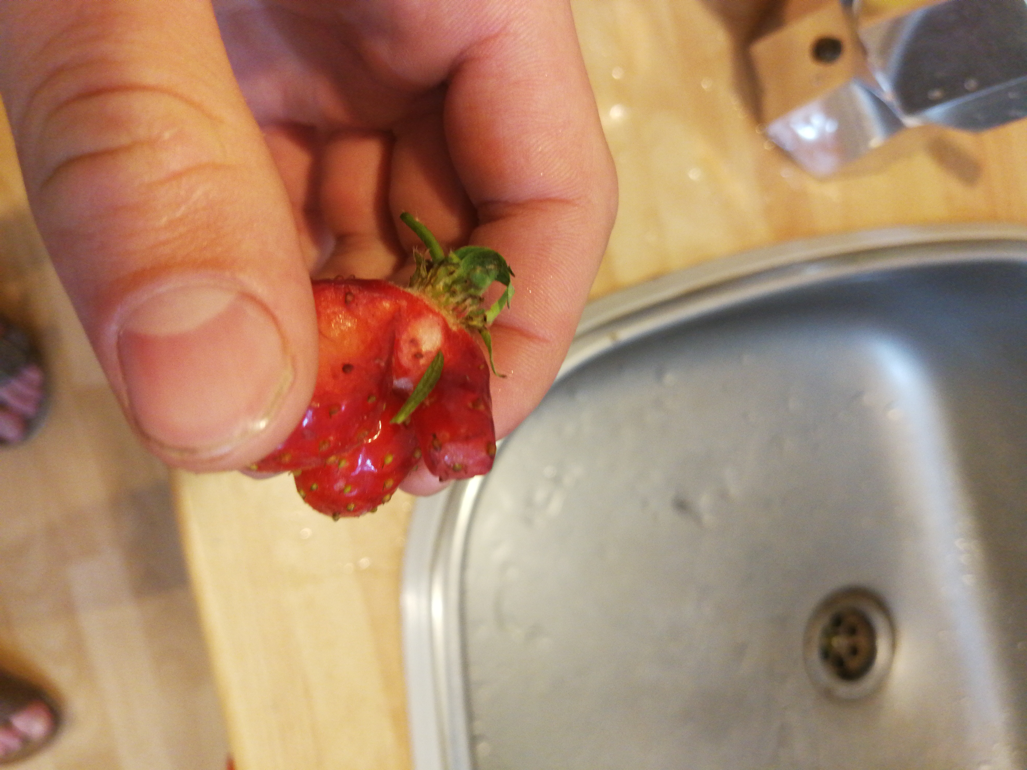 Jahody Oskořínek foto 1