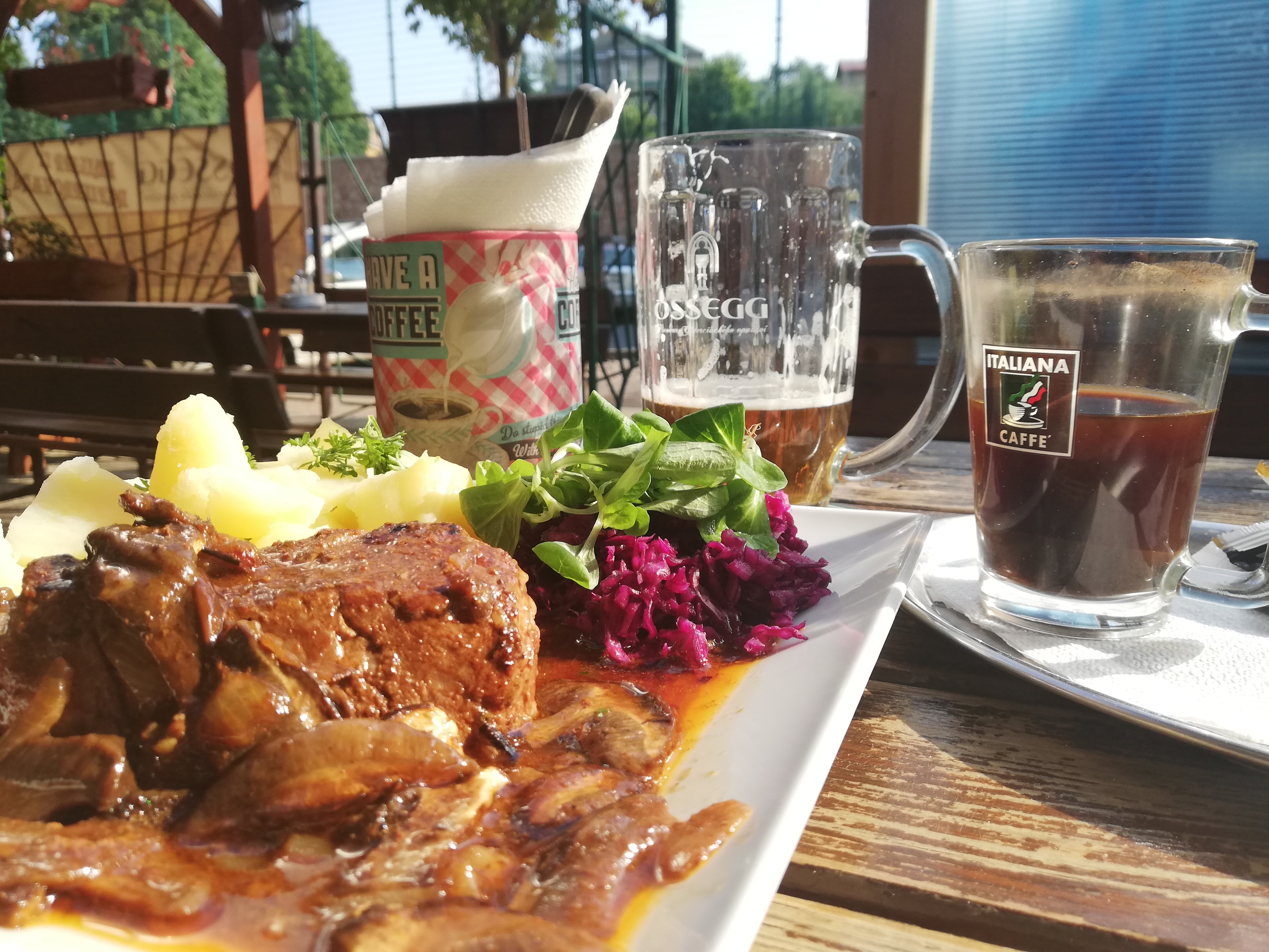 U Černý kočky foto 6