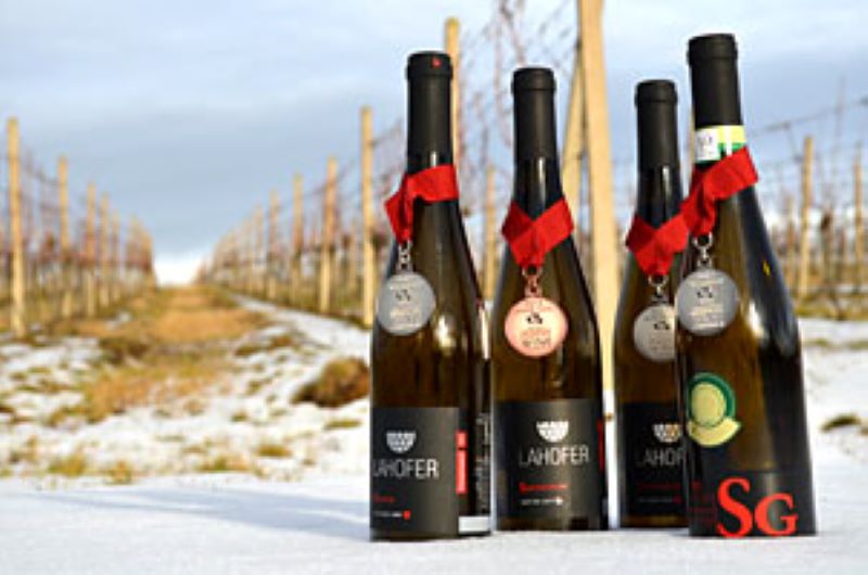 Vino-grim.cz foto 2