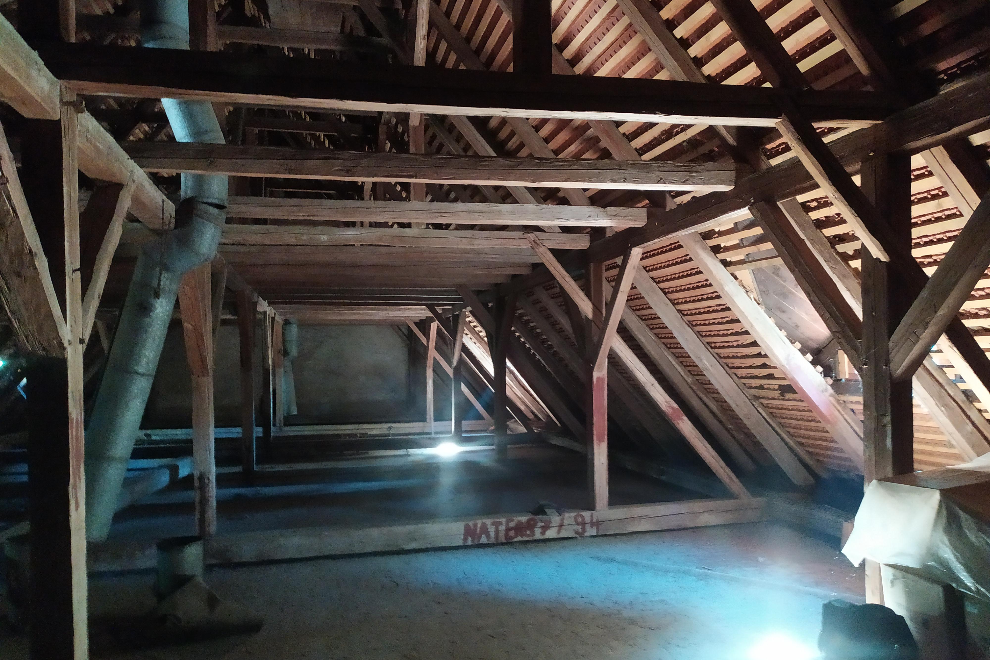 Tomáš Lesina - krovy-sanace