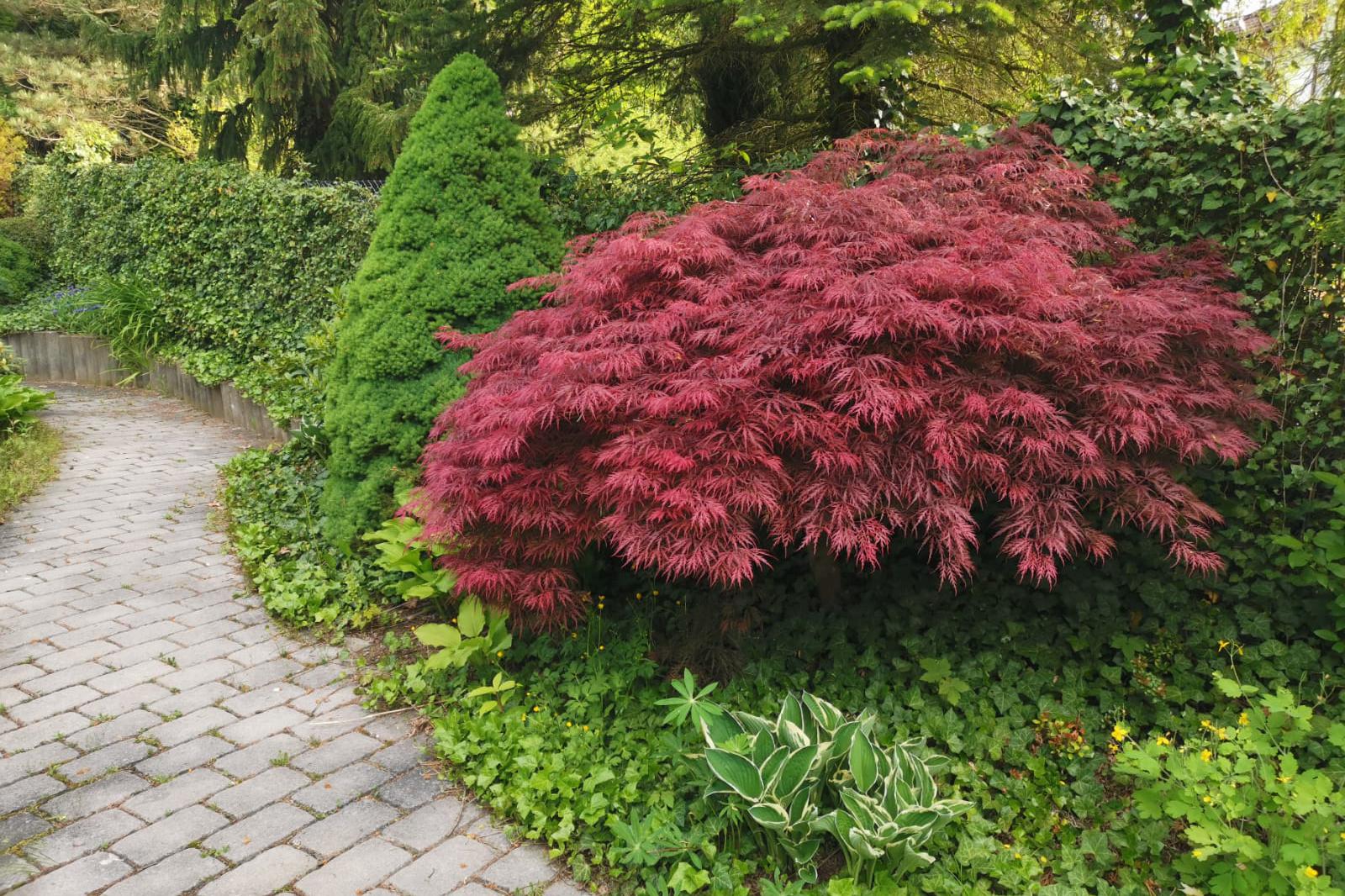 TEGER - údržba zahrad a nemovitostí