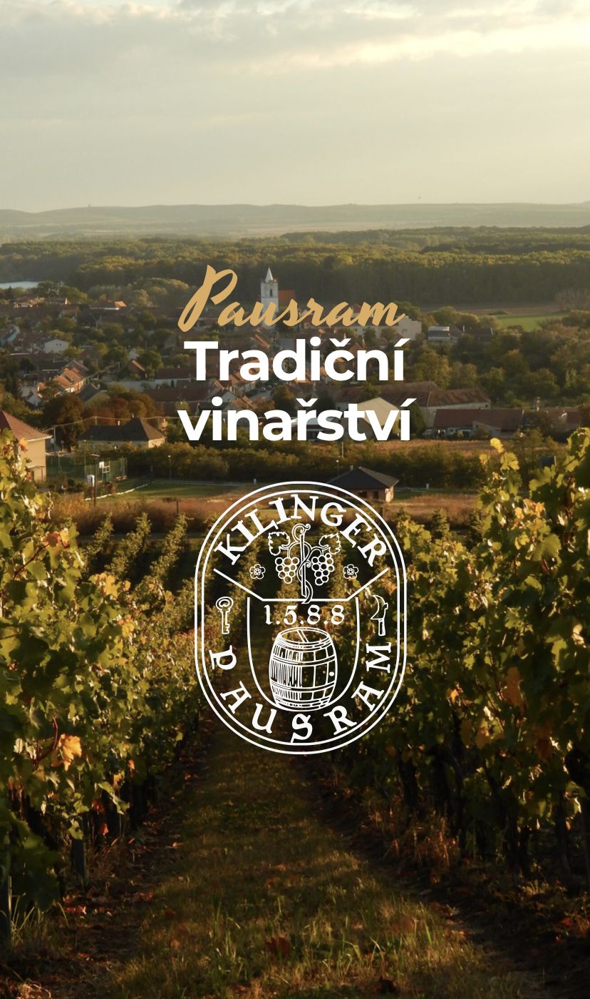 W9DGph.jpeg?fl=res,2200,2200,1