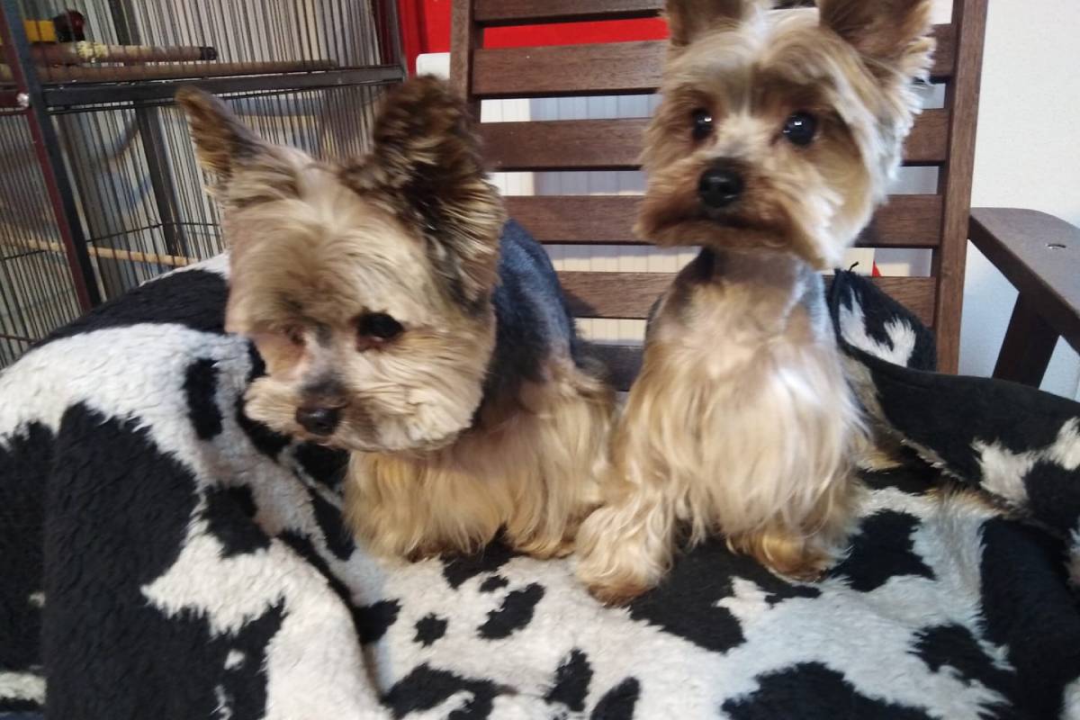 SALON BLACK AND WHITE foto 2