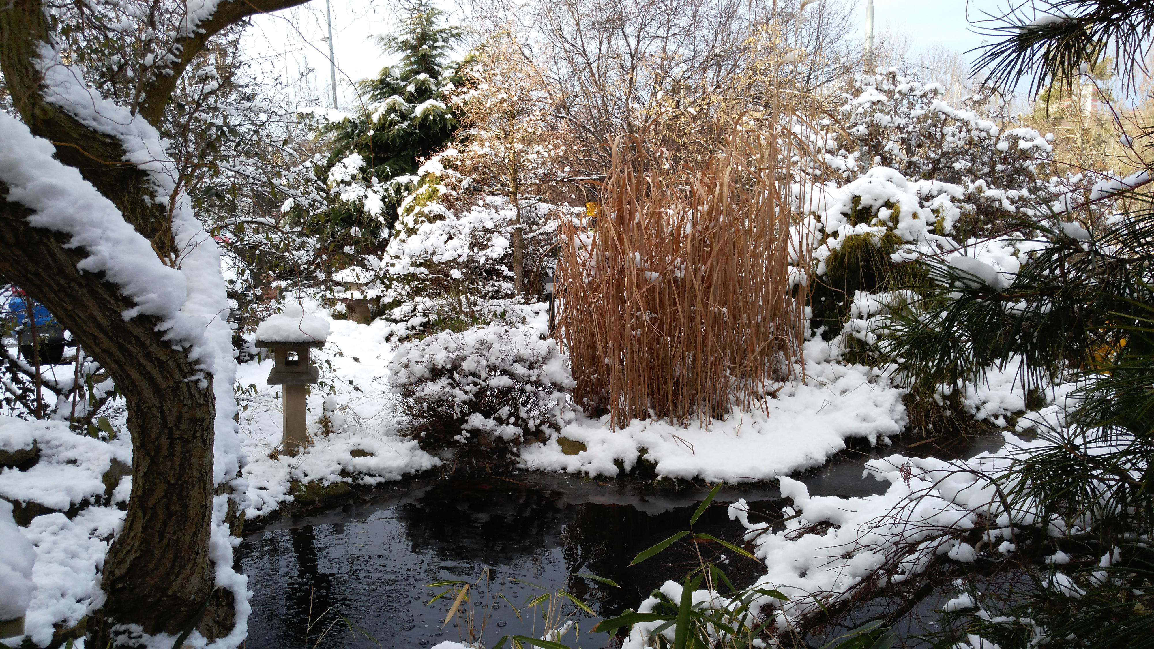 Bonsai - zahrada Marta Klimentová foto 2