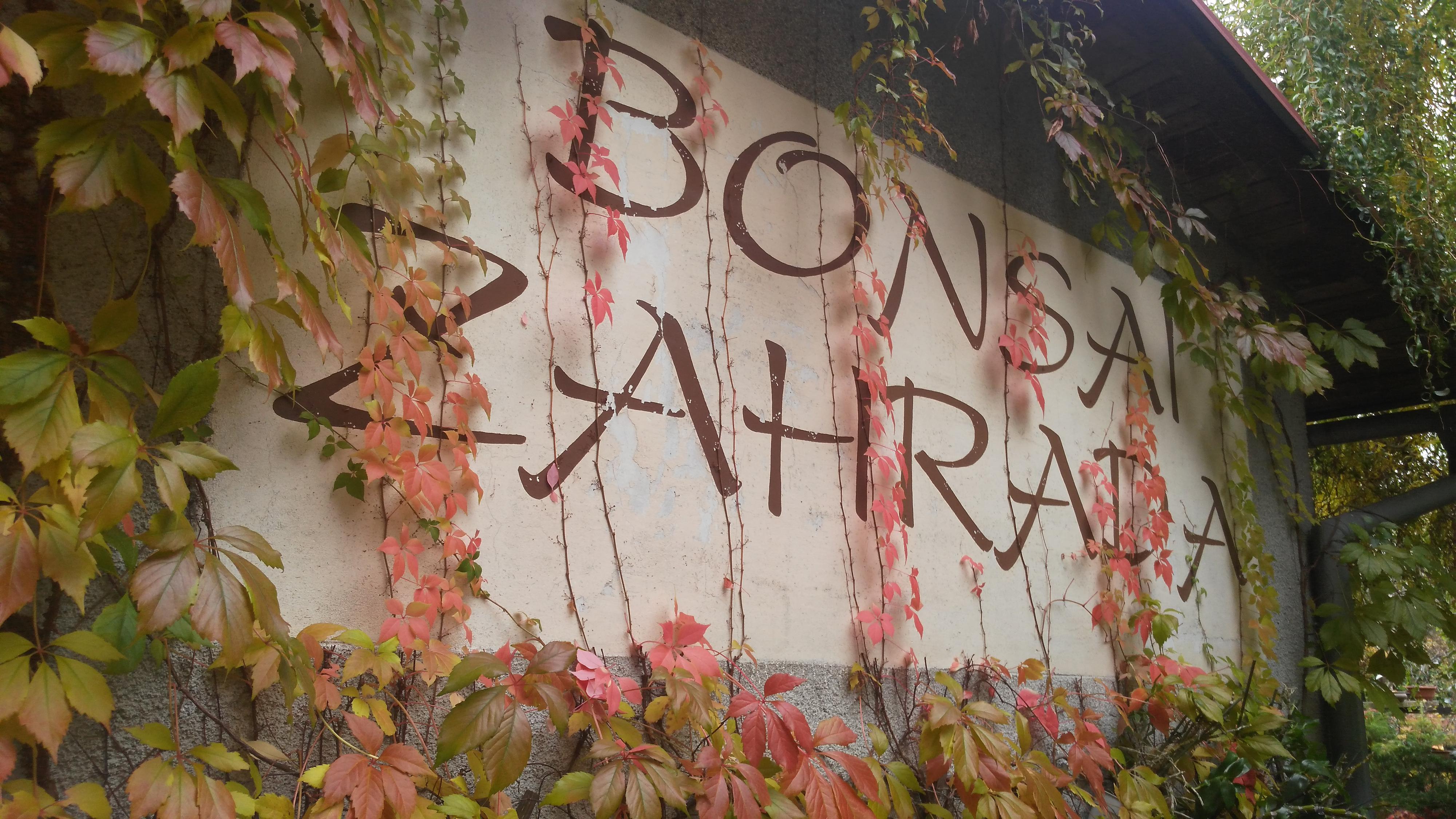 Bonsai - zahrada Marta Klimentová foto 3