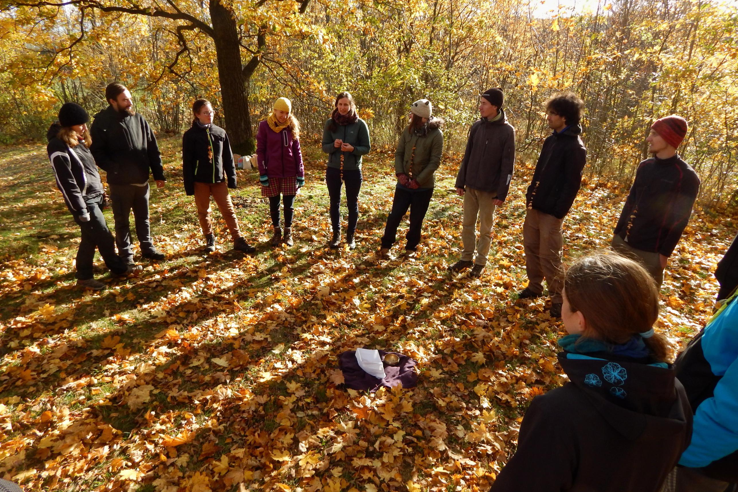 Základní článek Hnutí Brontosaurus Rozruch