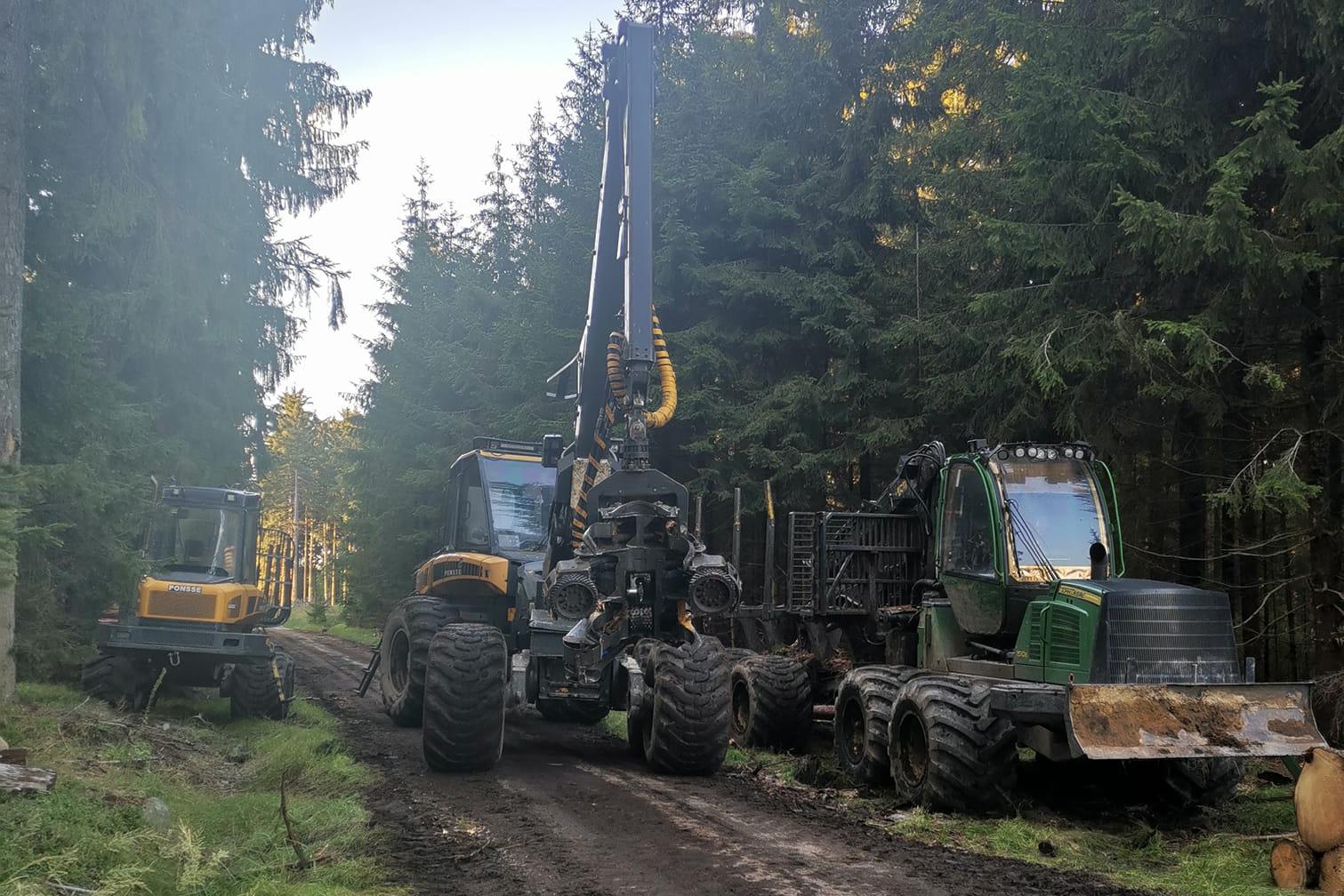 B&Z LESNÍ PRÁCE s.r.o.