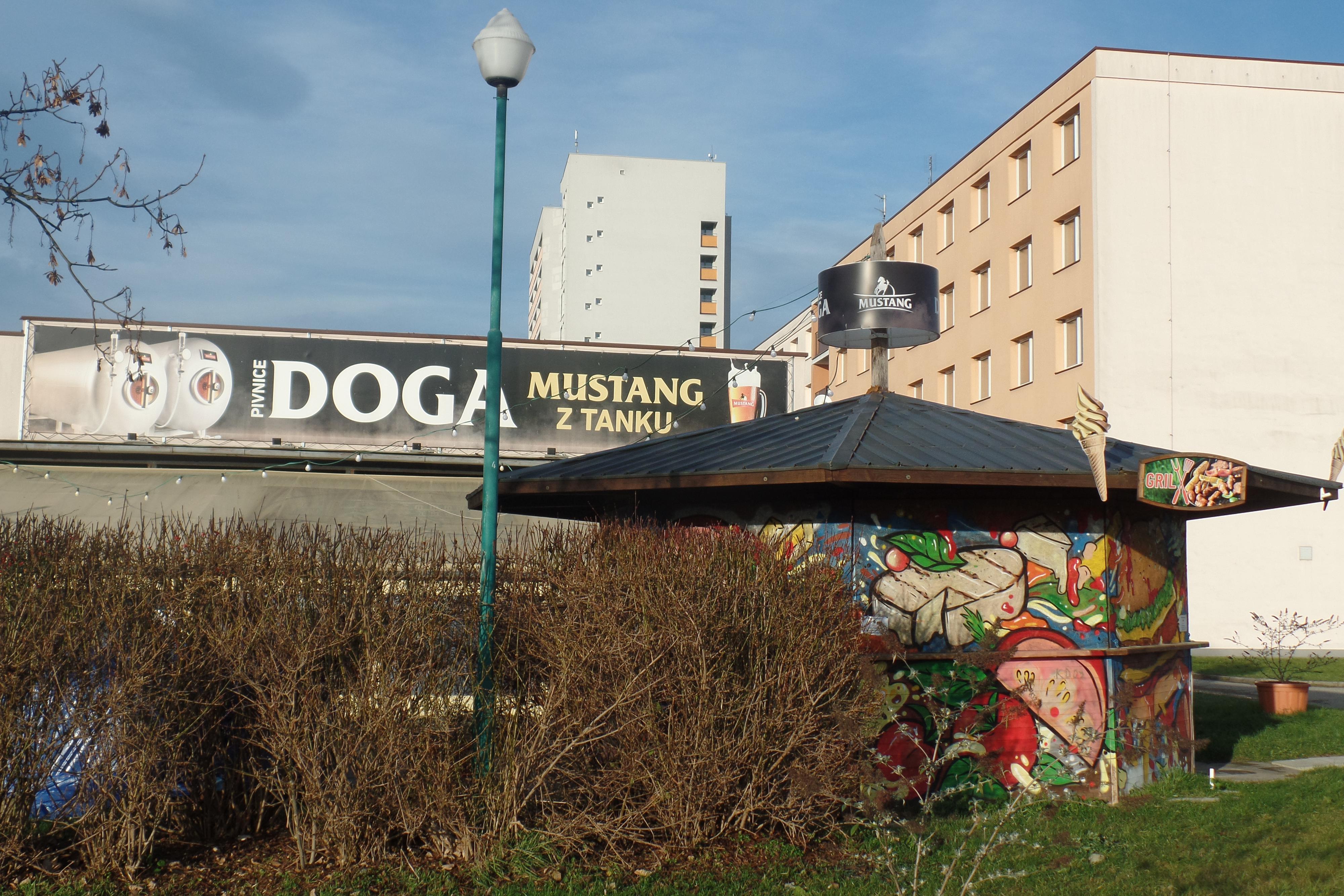 Pivnice Doga foto 3