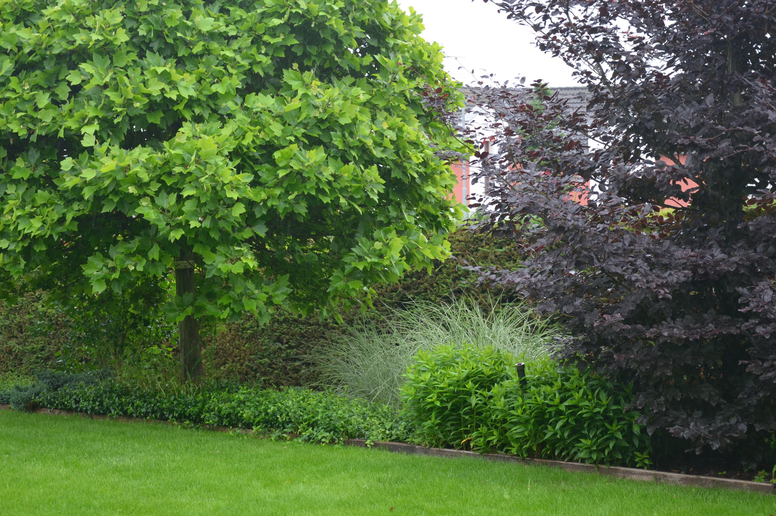 Brennero garden services, s.r.o. foto 1