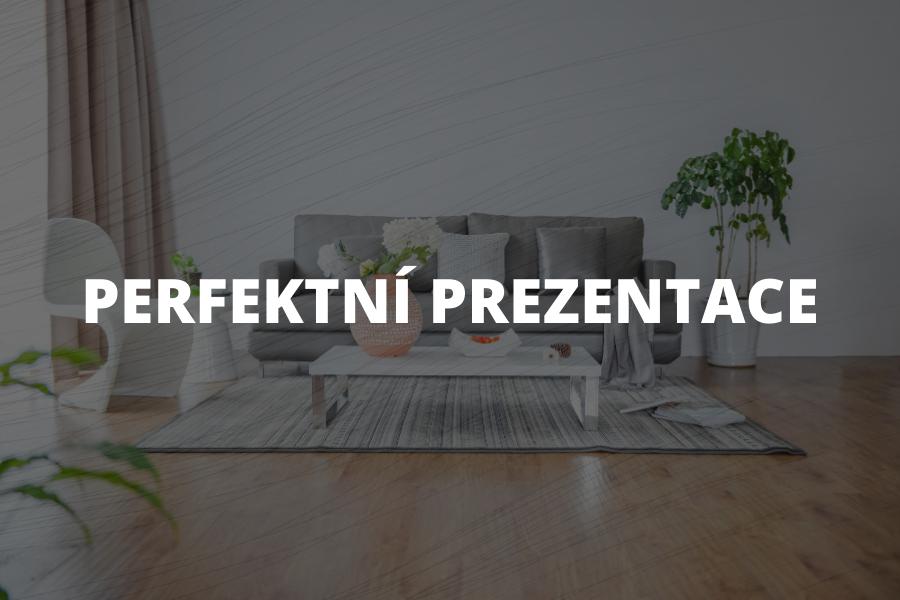 Perfektní prezentace