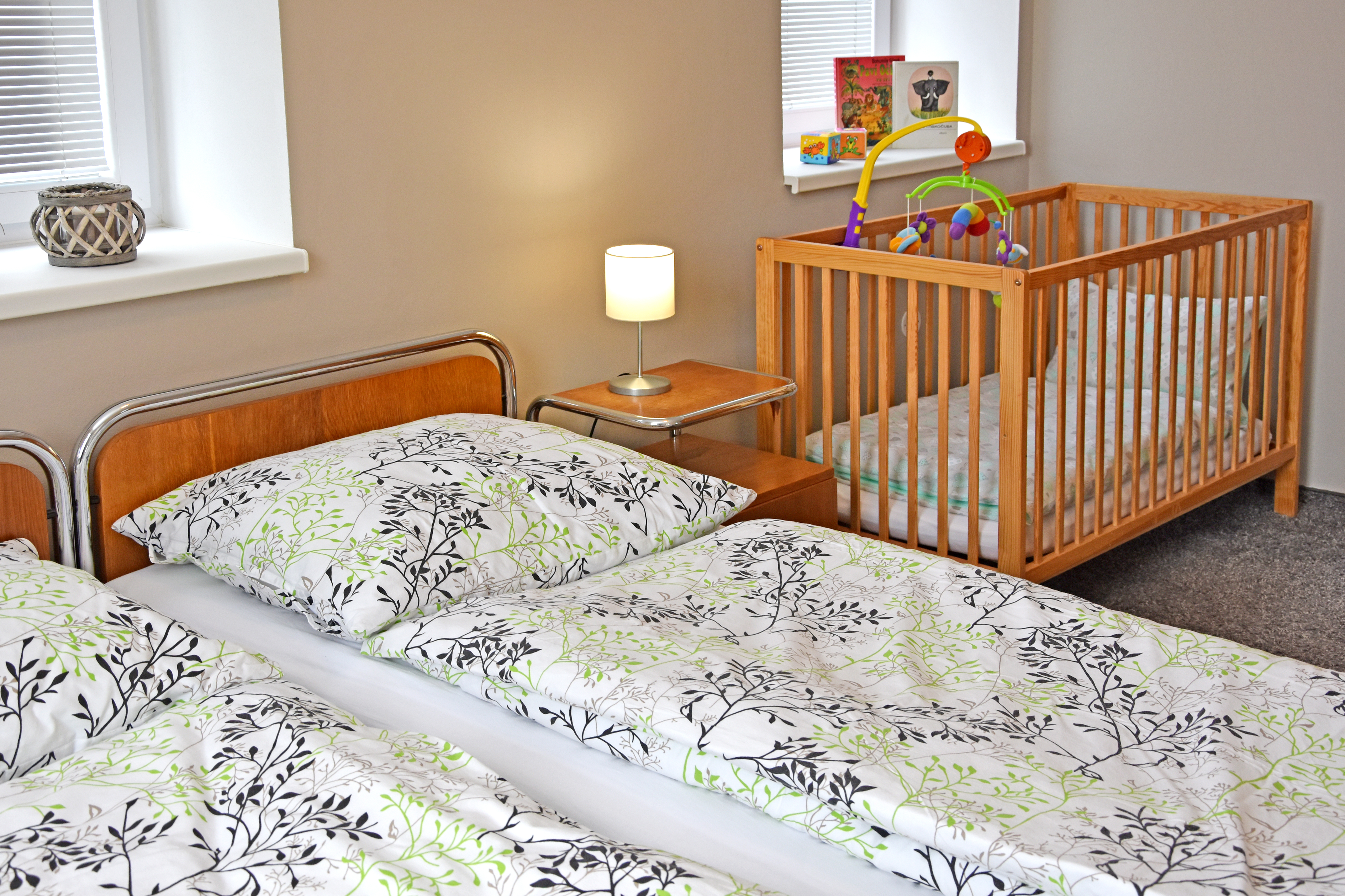 Ubytování Goliáš foto 3