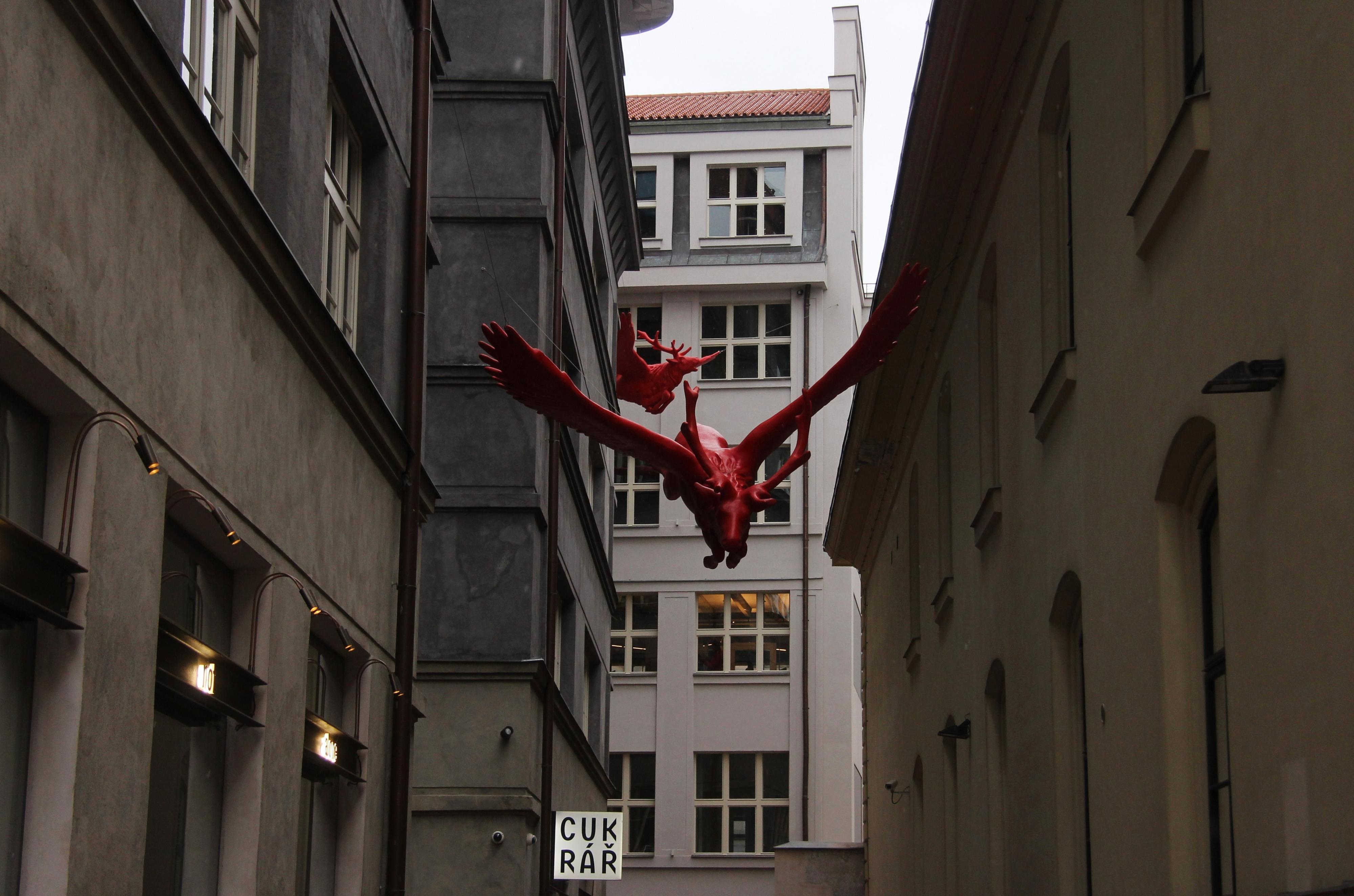 Červený Jelen foto 5