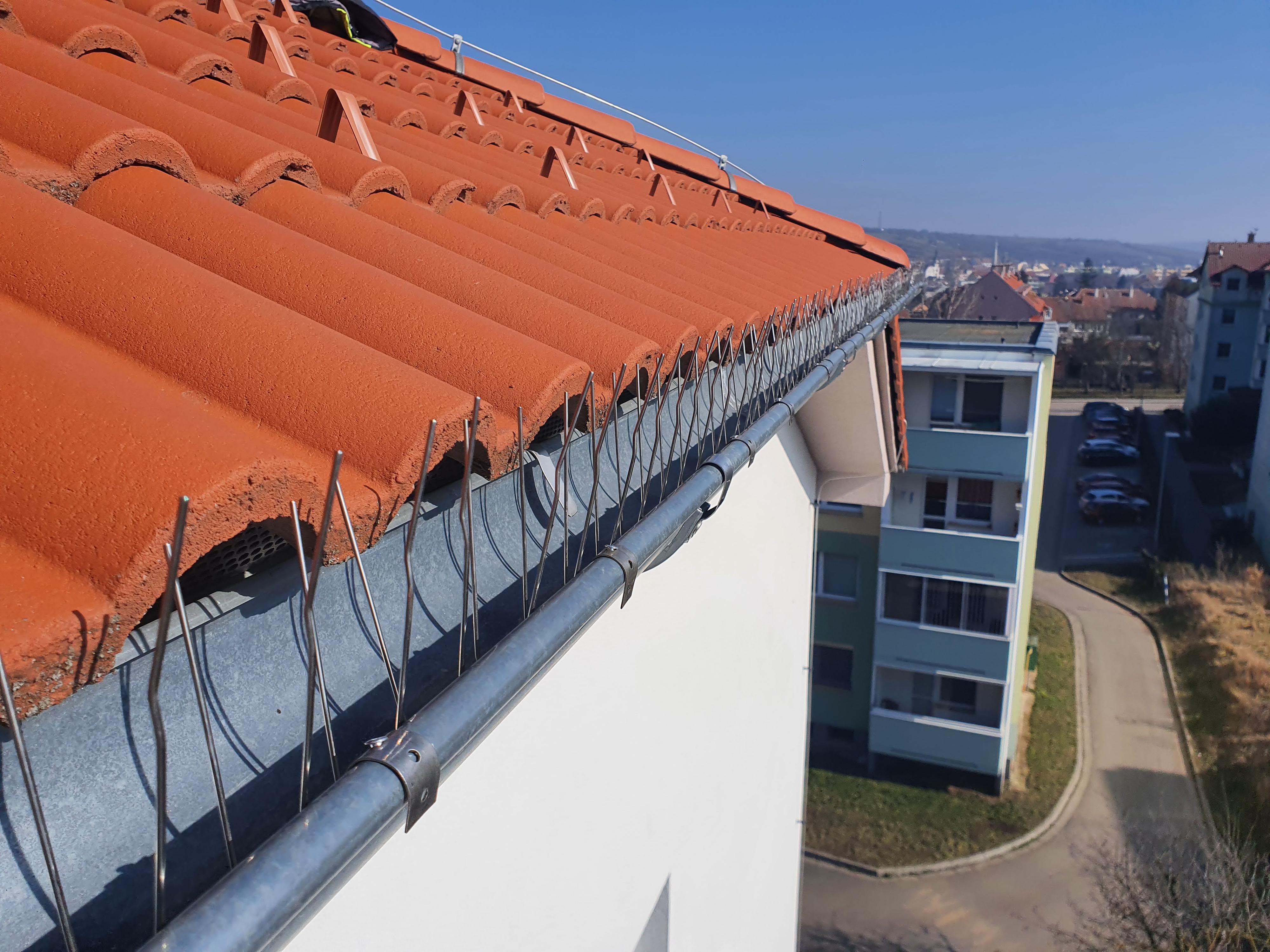 Vertical Solutions s.r.o. foto 5