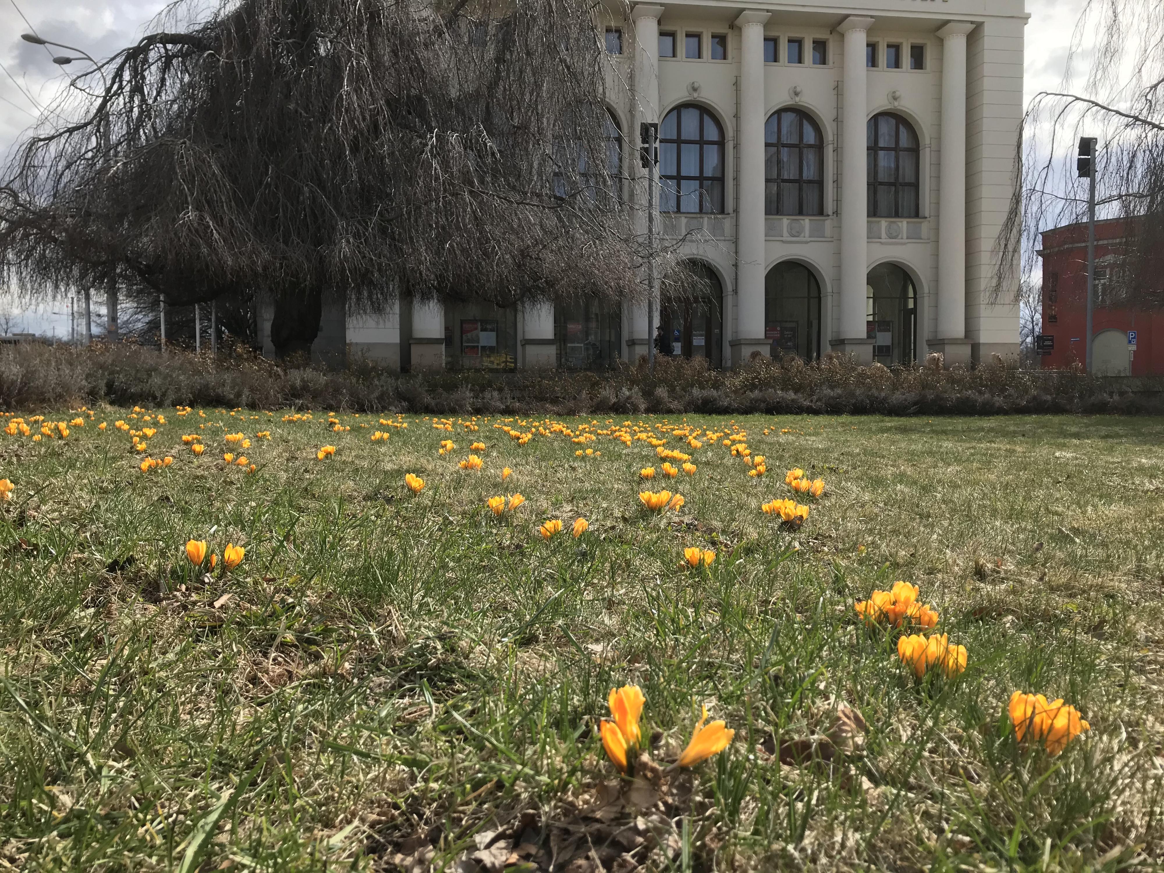Divadlo Antonína Dvořáka foto 5