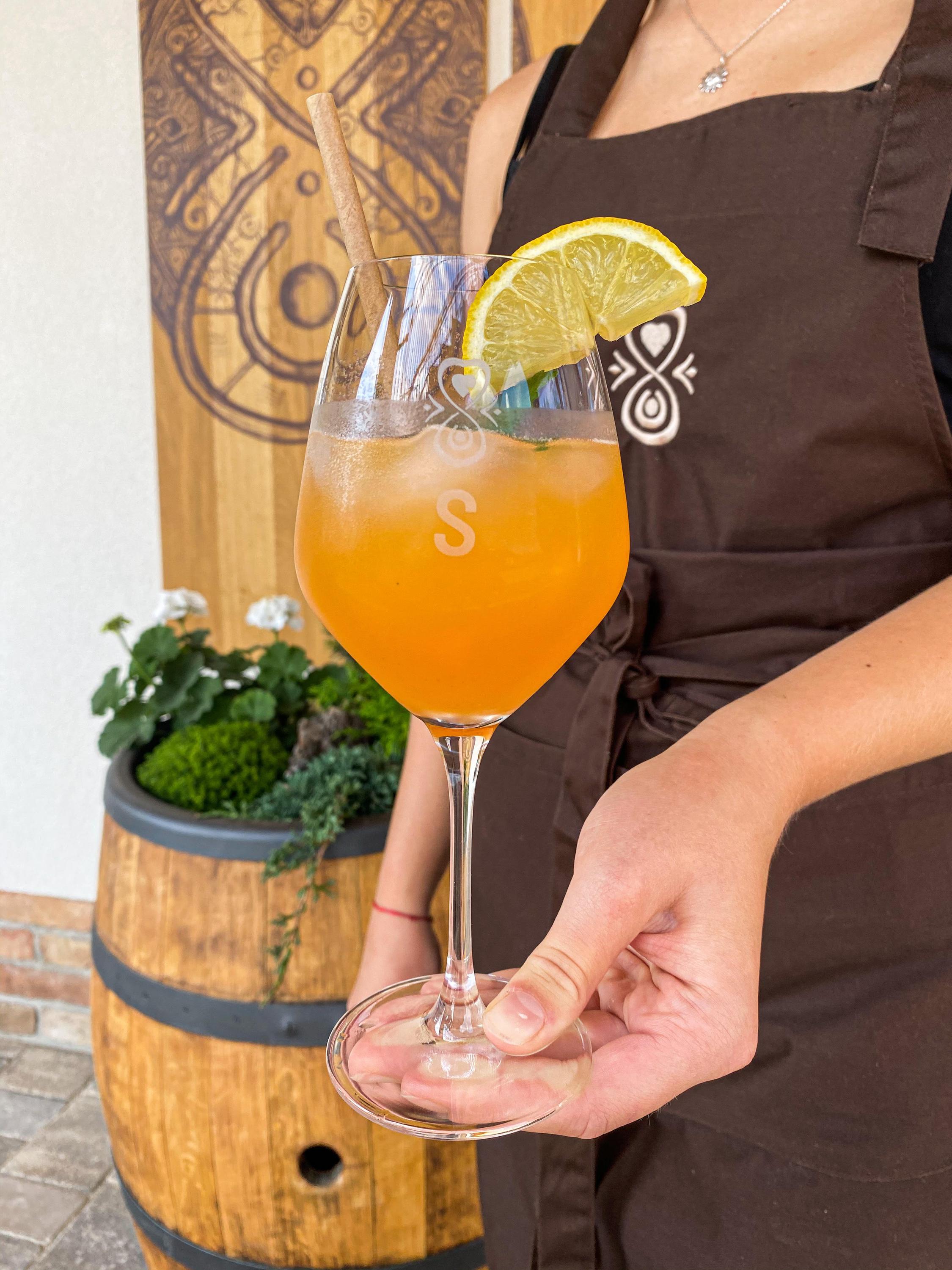 Vinařství Martin Šebesta foto 3