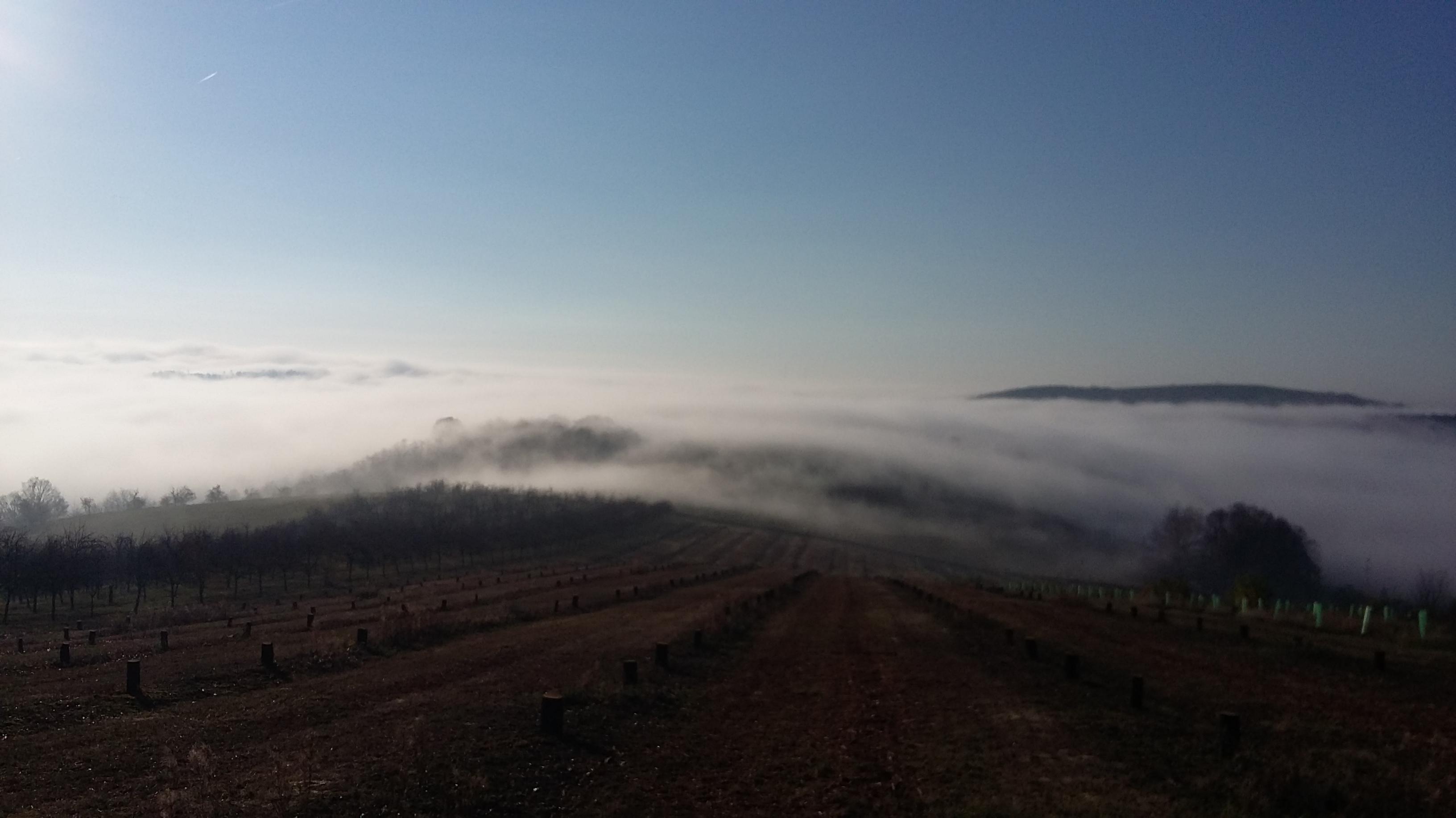 Ovocné sady Žlutava foto 3