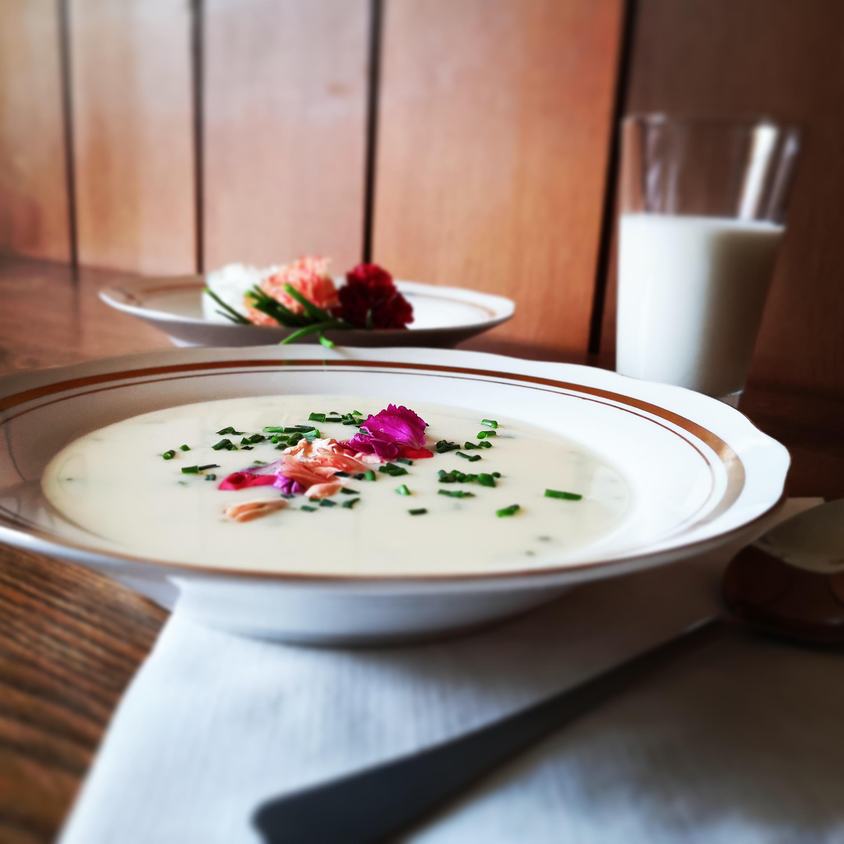 Vinárna u Českého Lva foto 6