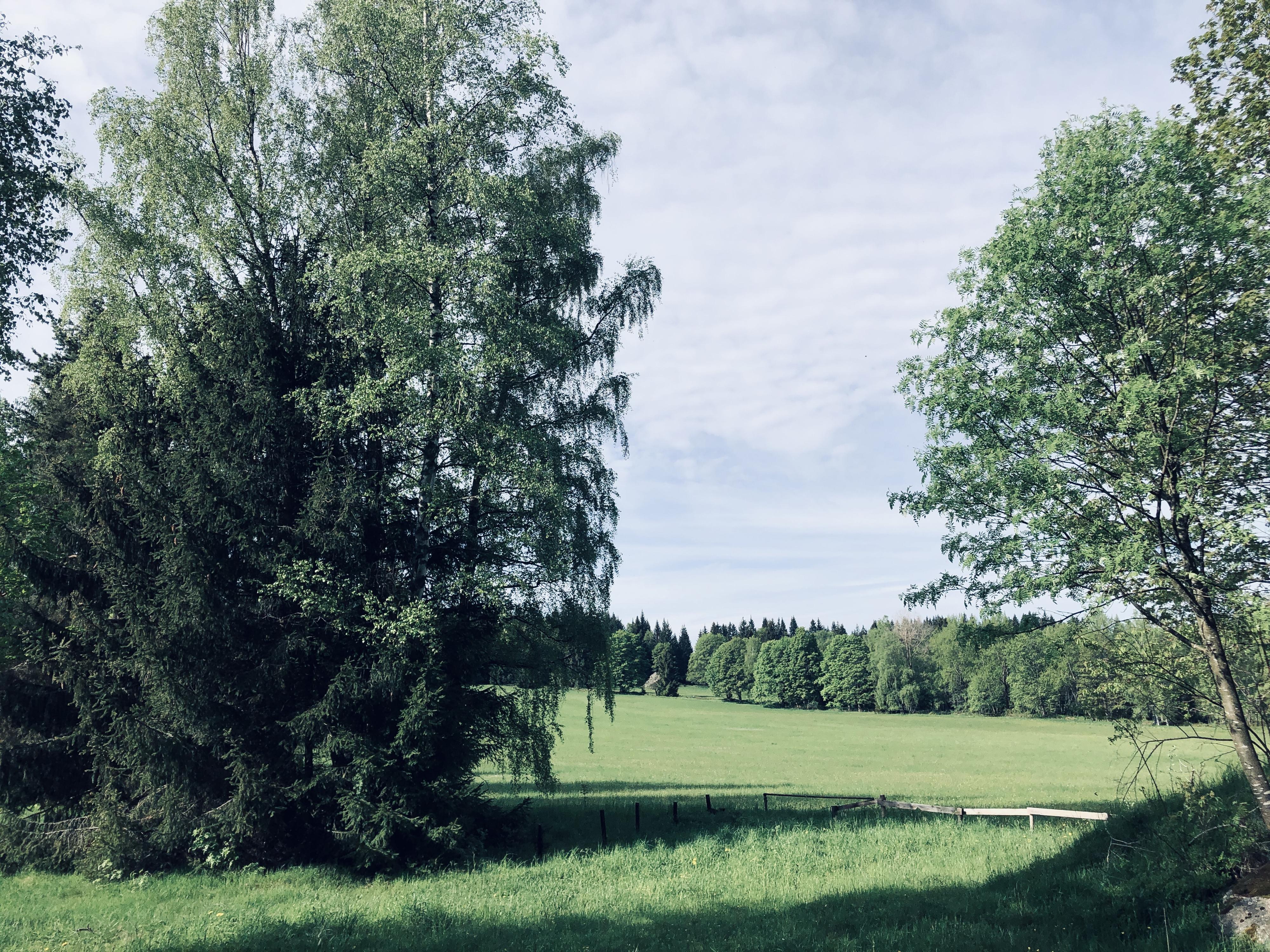 Penzion Kamenný dům Srní foto 6