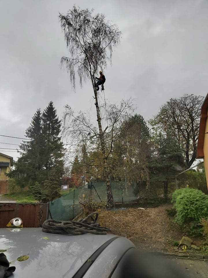 Výškové práce David Šuta foto 4