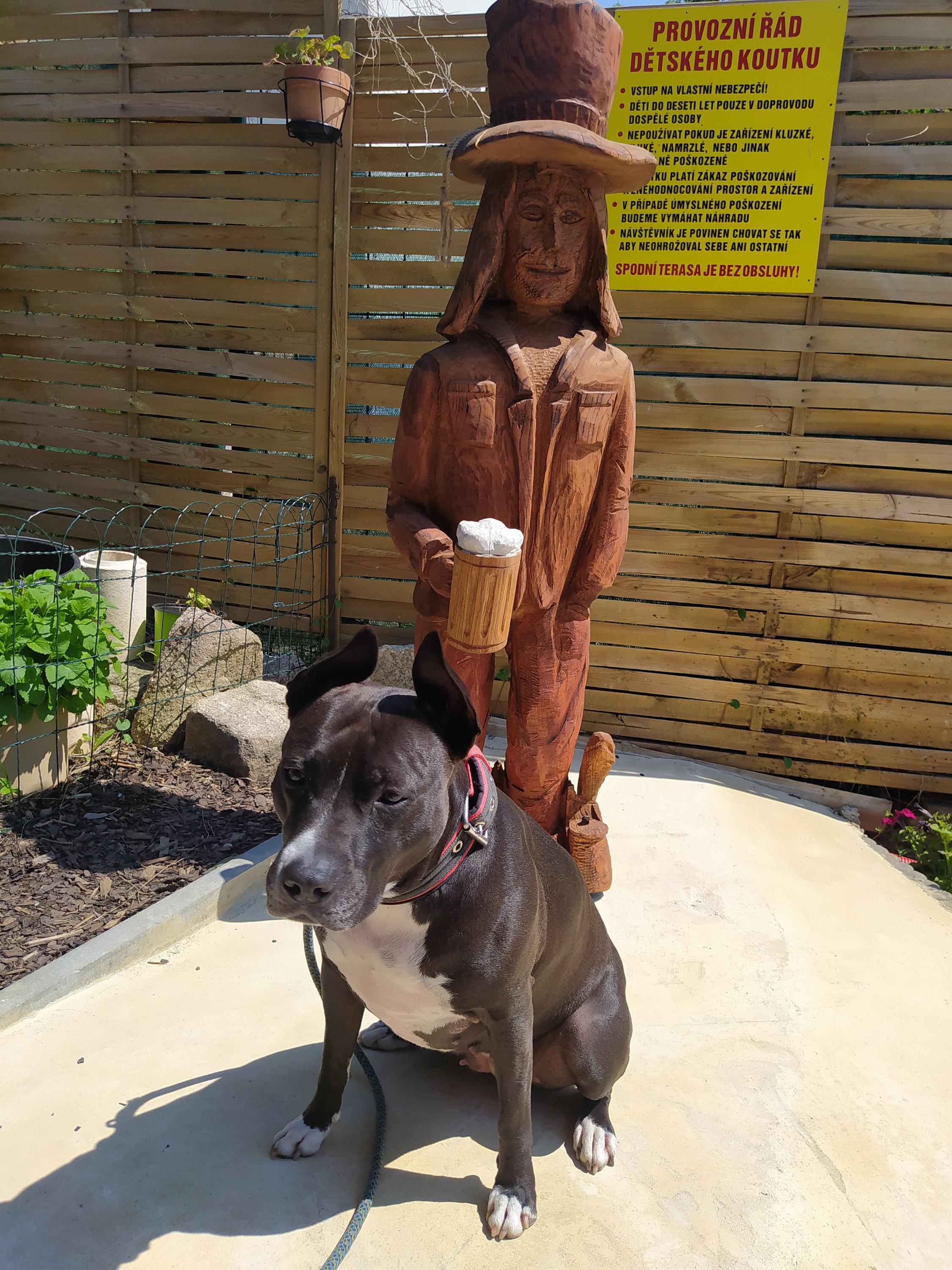 Hospůdka U Hastrmánka foto 5