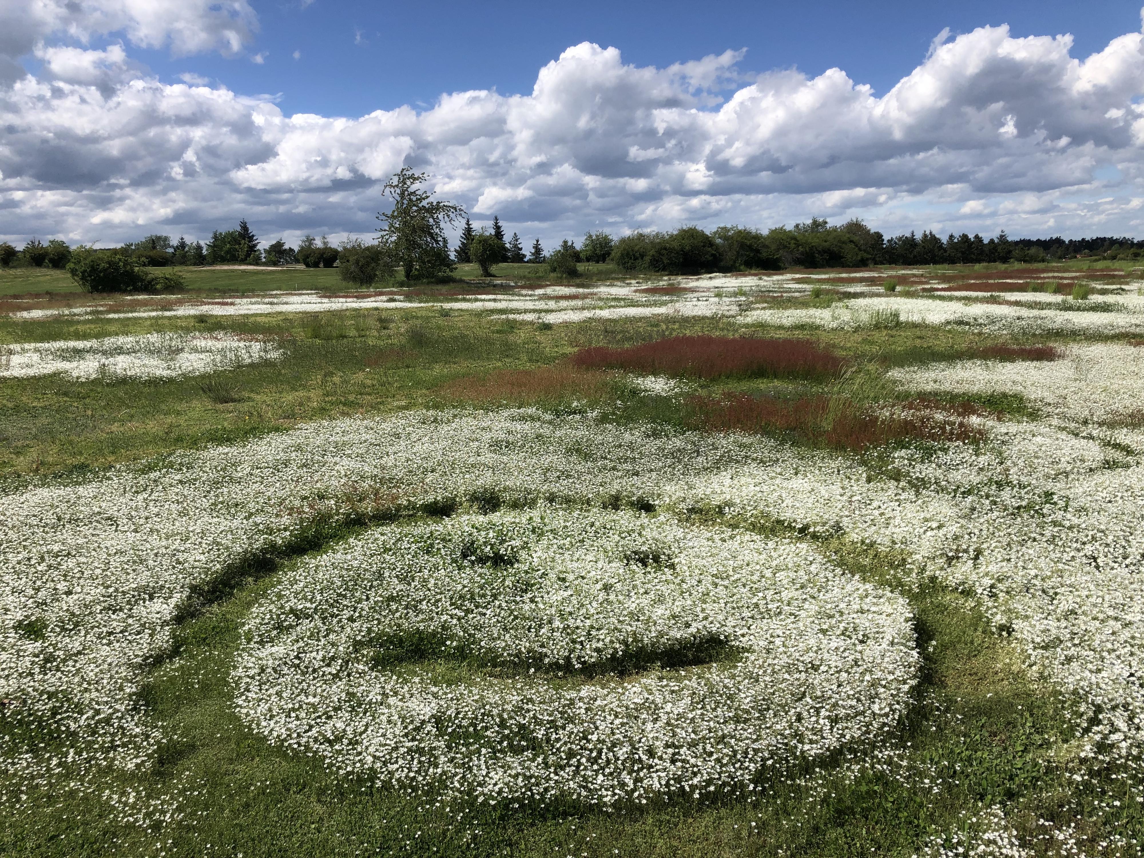 Golfový klub Líšnice foto 2