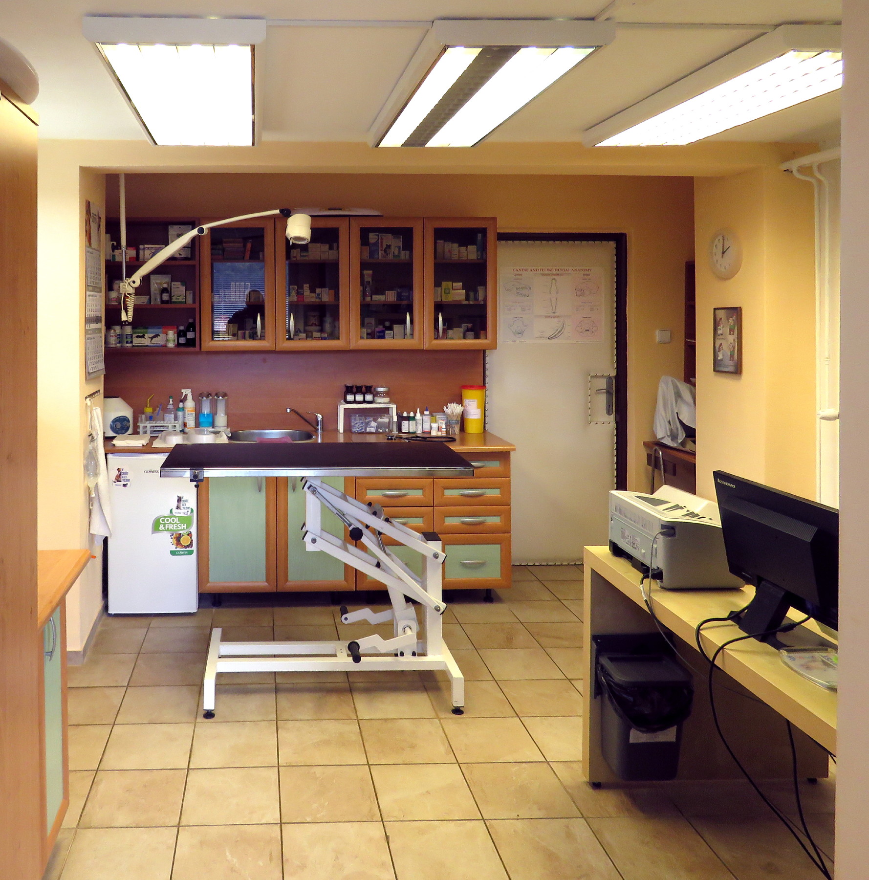 MVDr. Jana Pilgrová - Veterinární ordinace foto 3