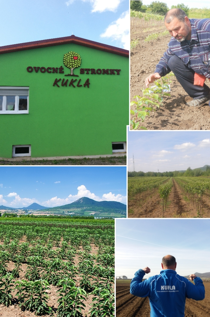 Ovocne-stromky.com foto 2