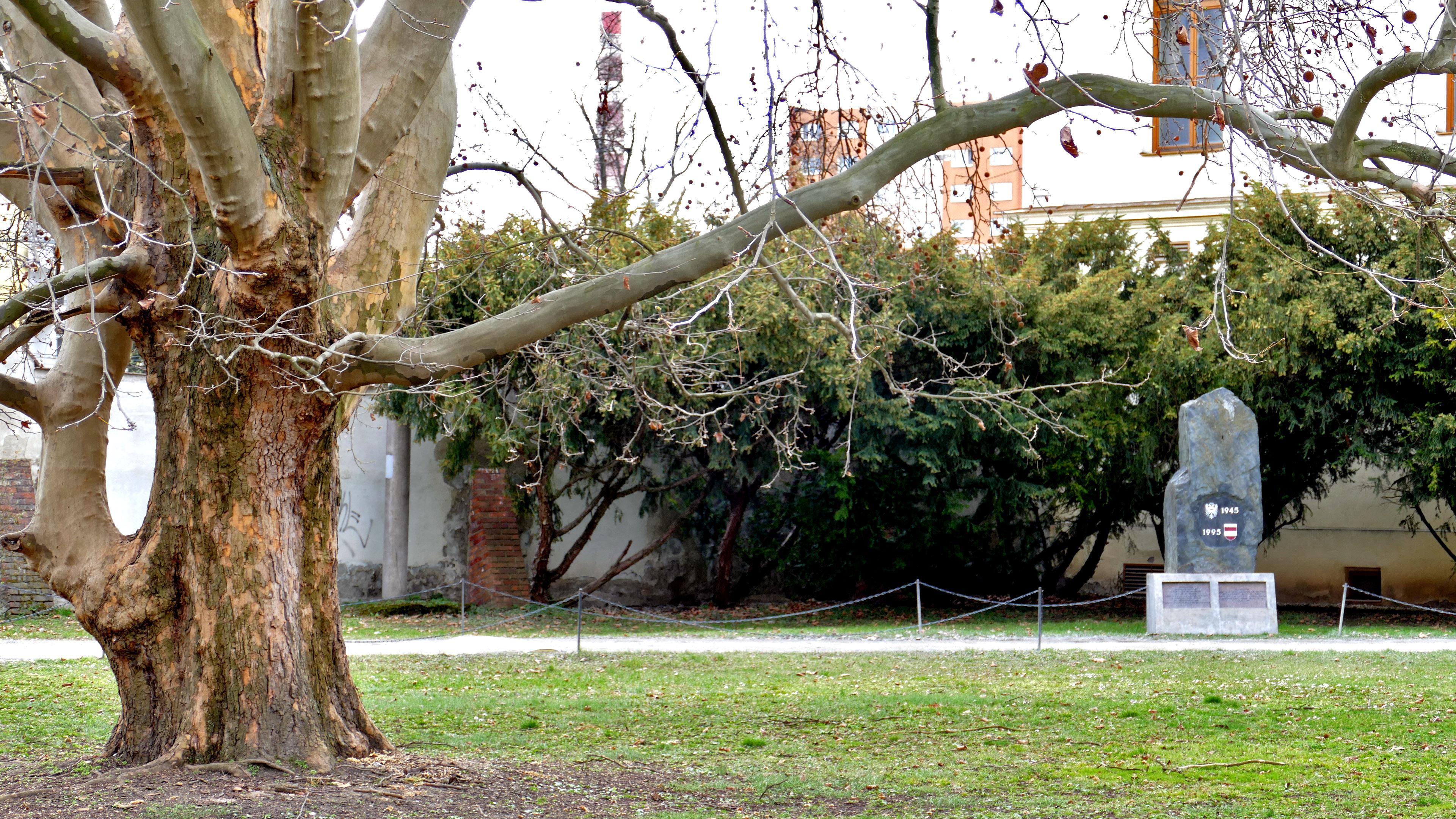 Opatství Staré Brno Řádu sv. Augustina foto 3