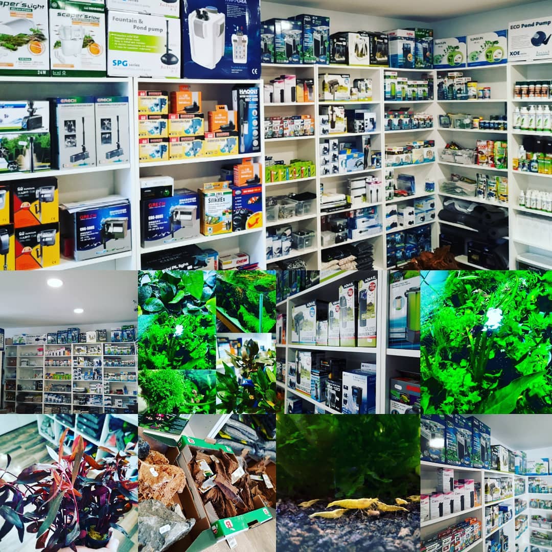 Akvaristika-24.cz foto 3