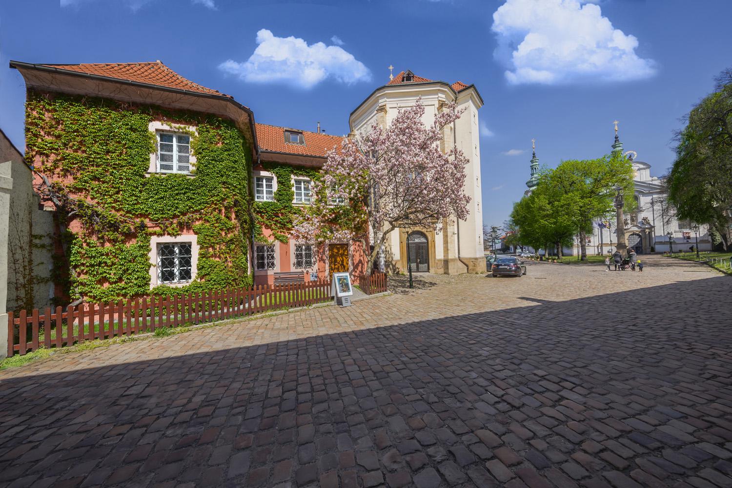Galerie Miro foto 4